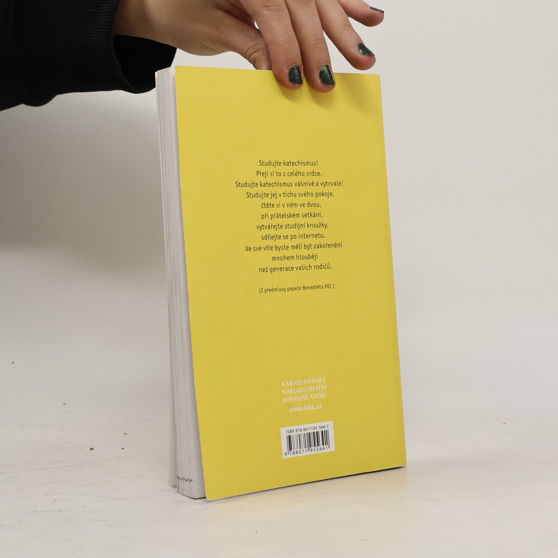 Autorenkollektiv Youcat: katechismus katolické církve pro mladé