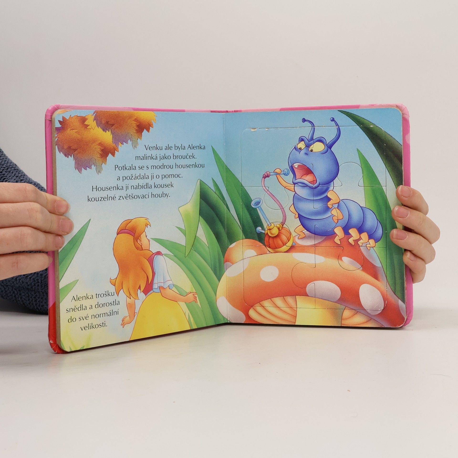 Kolektiv autorů Alenka v říši divů: pohádka s puzzle
