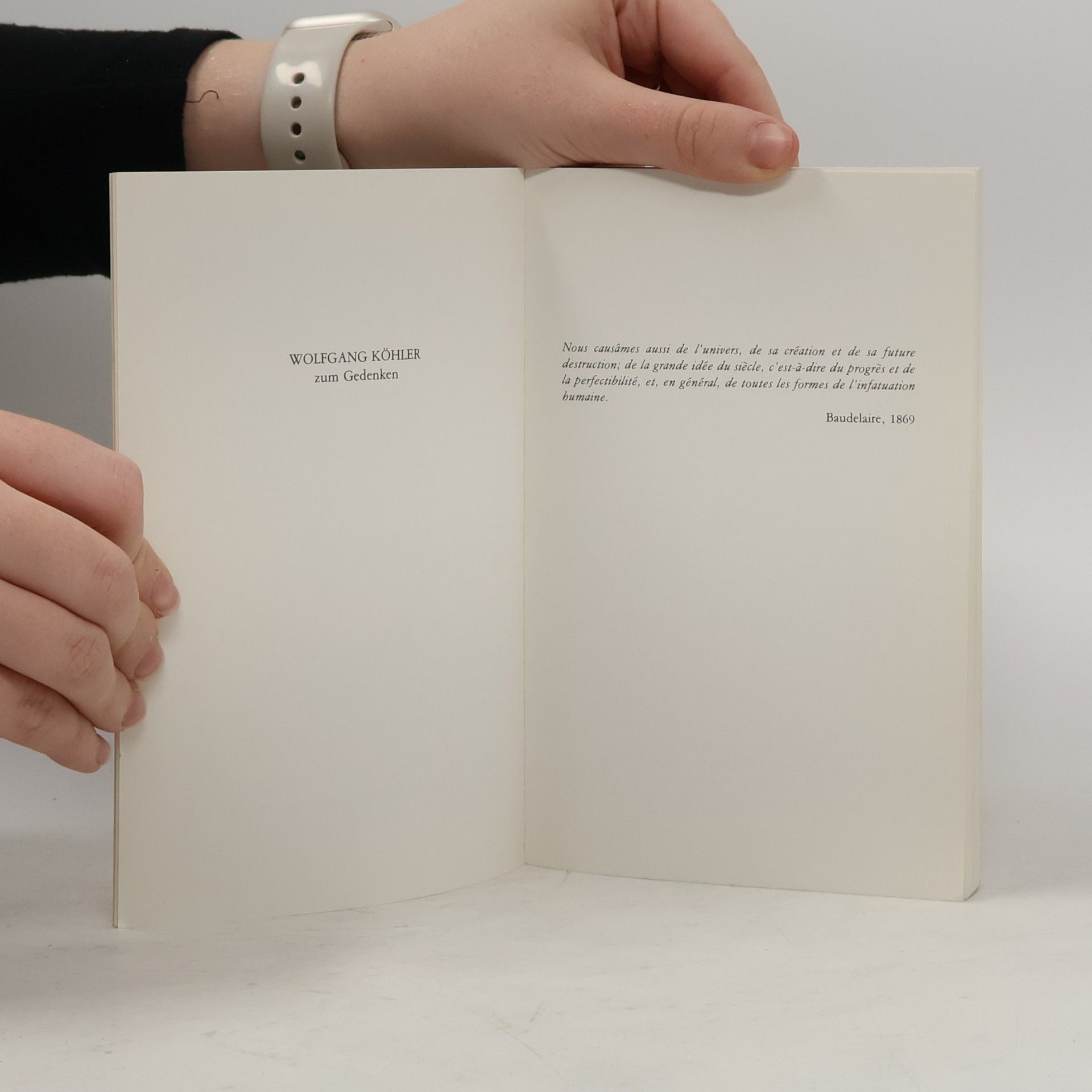Rudolf Arnheim Entropie und Kunst