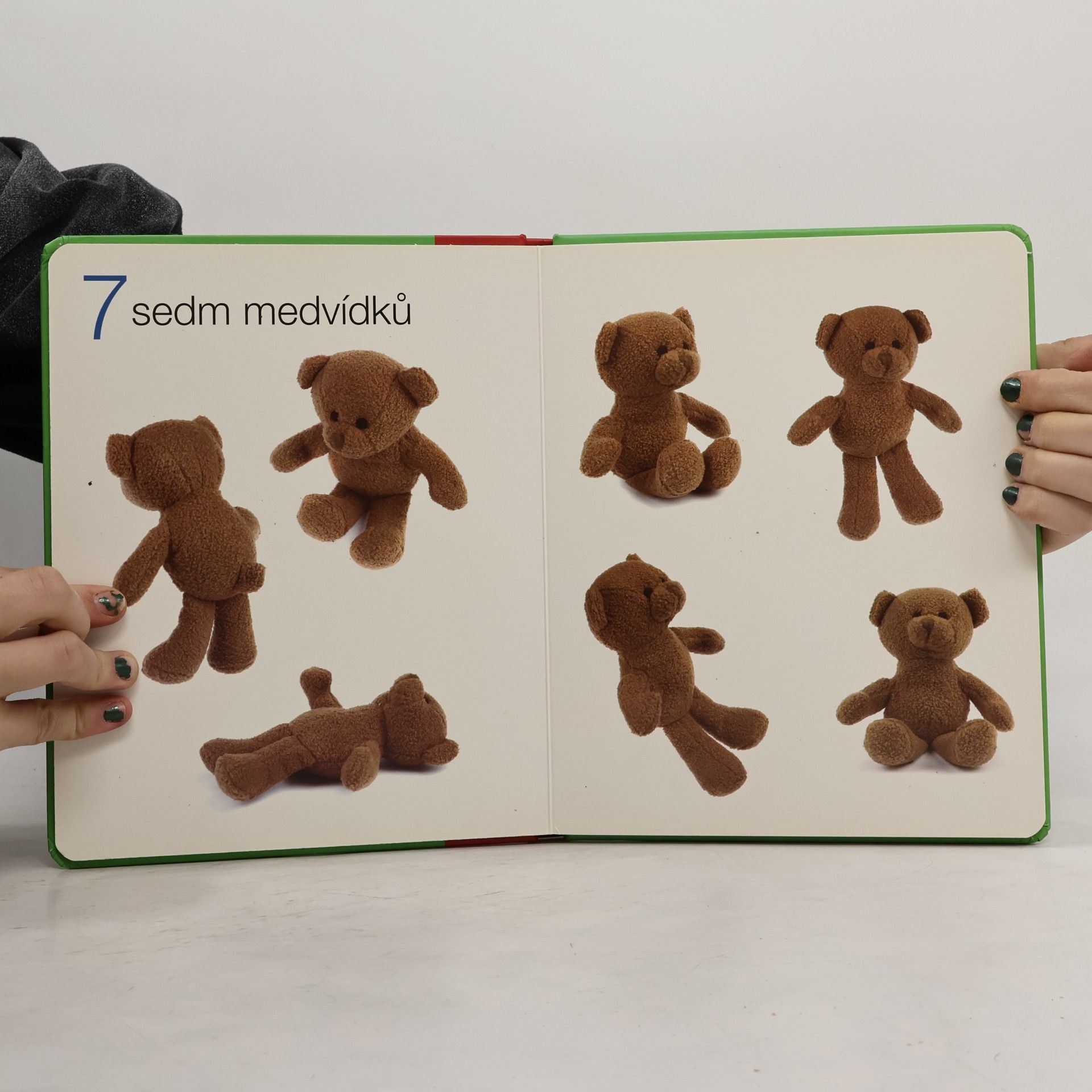 Autorenkollektiv Počítání v obrázcích