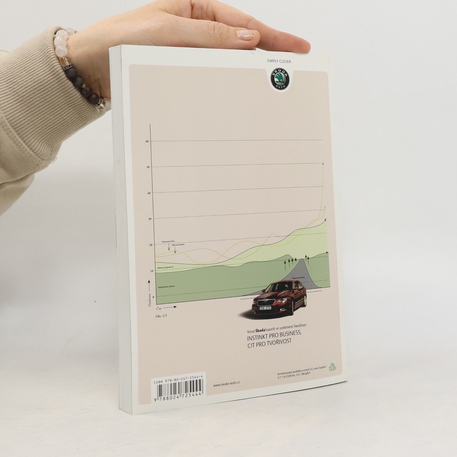 Richard Newton Úspěšný projektový manažer