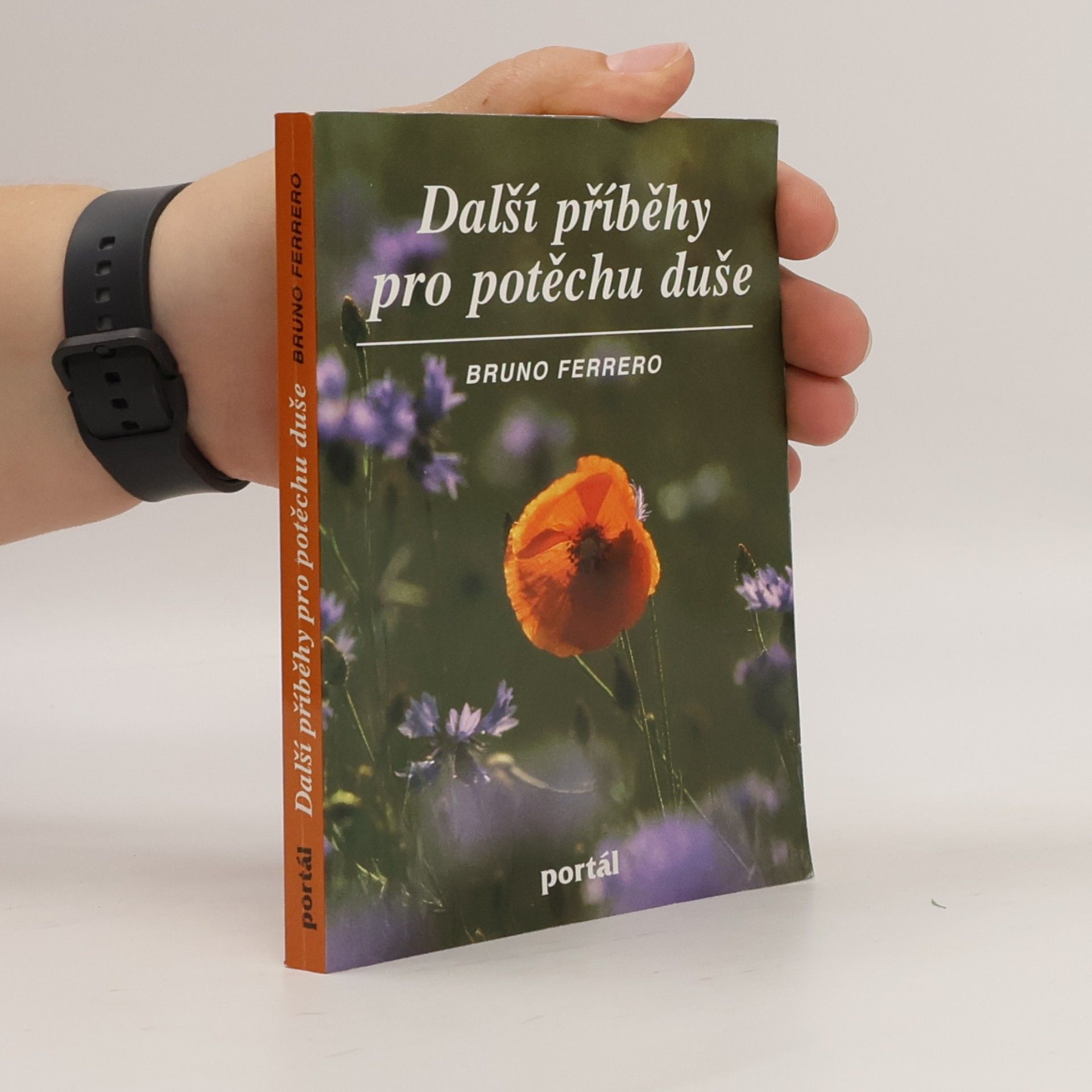 Bruno Ferrero Další příběhy pro potěchu duše