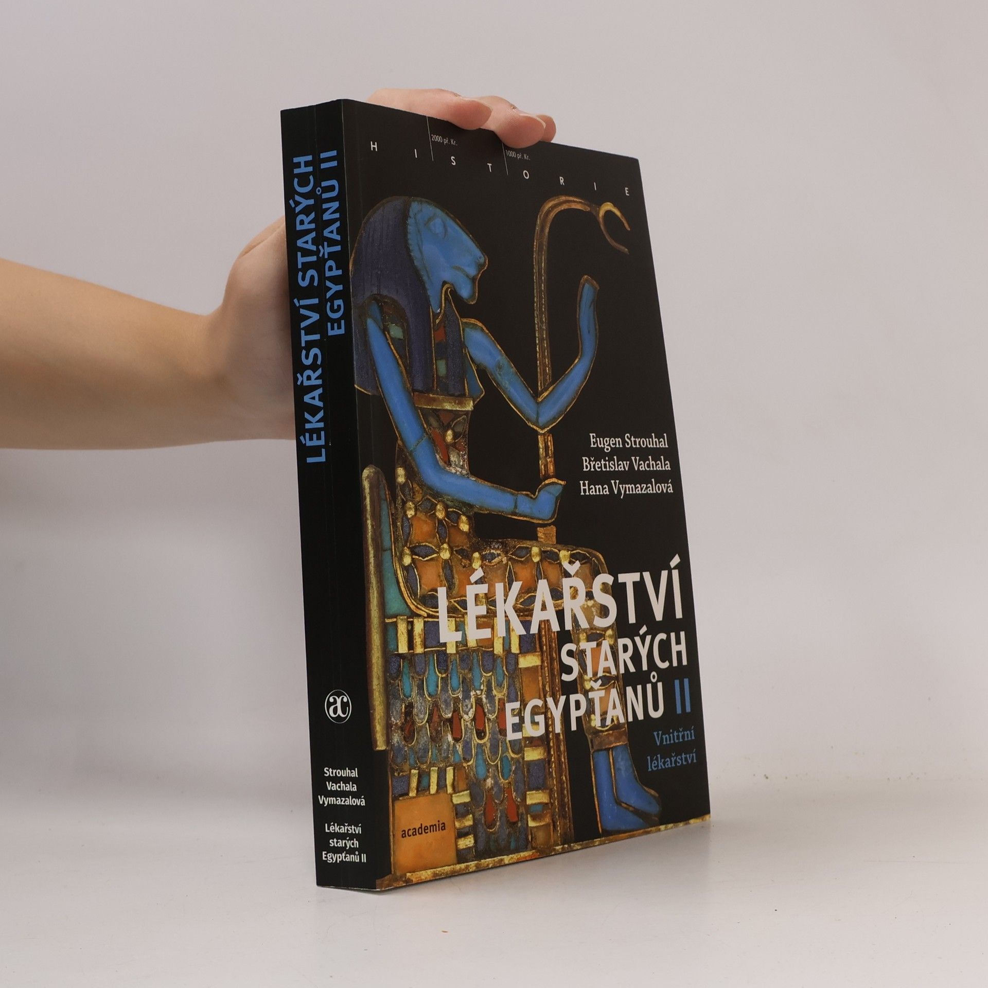 Lékařství starých Egypťanů II.: Vnitřní lékařství