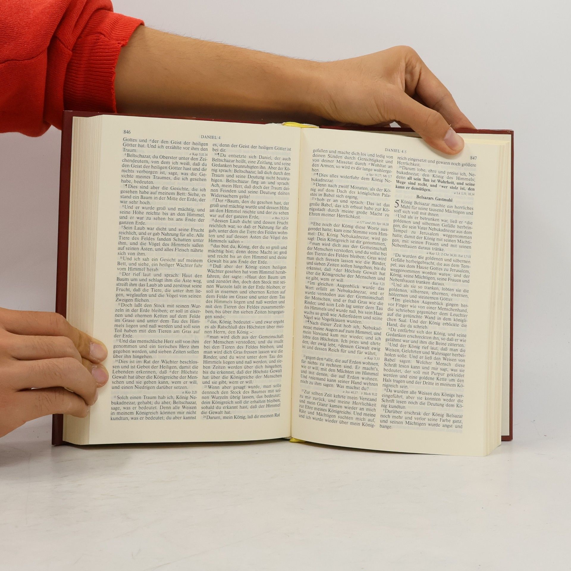 kolektiv Die Bibel