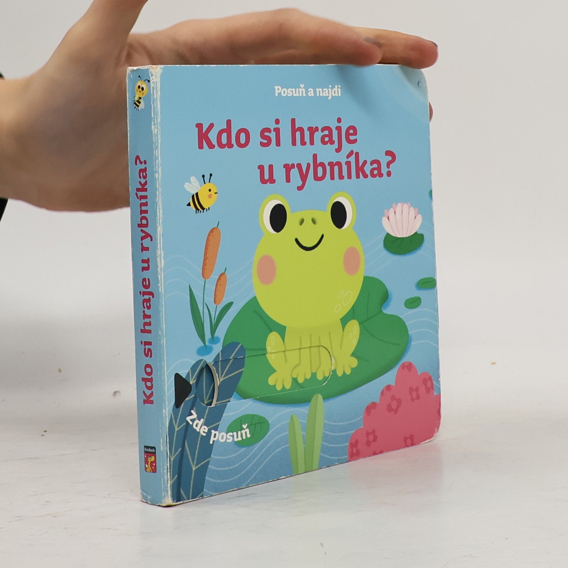 Alice Kottová Kdo si hraje u rybníka?