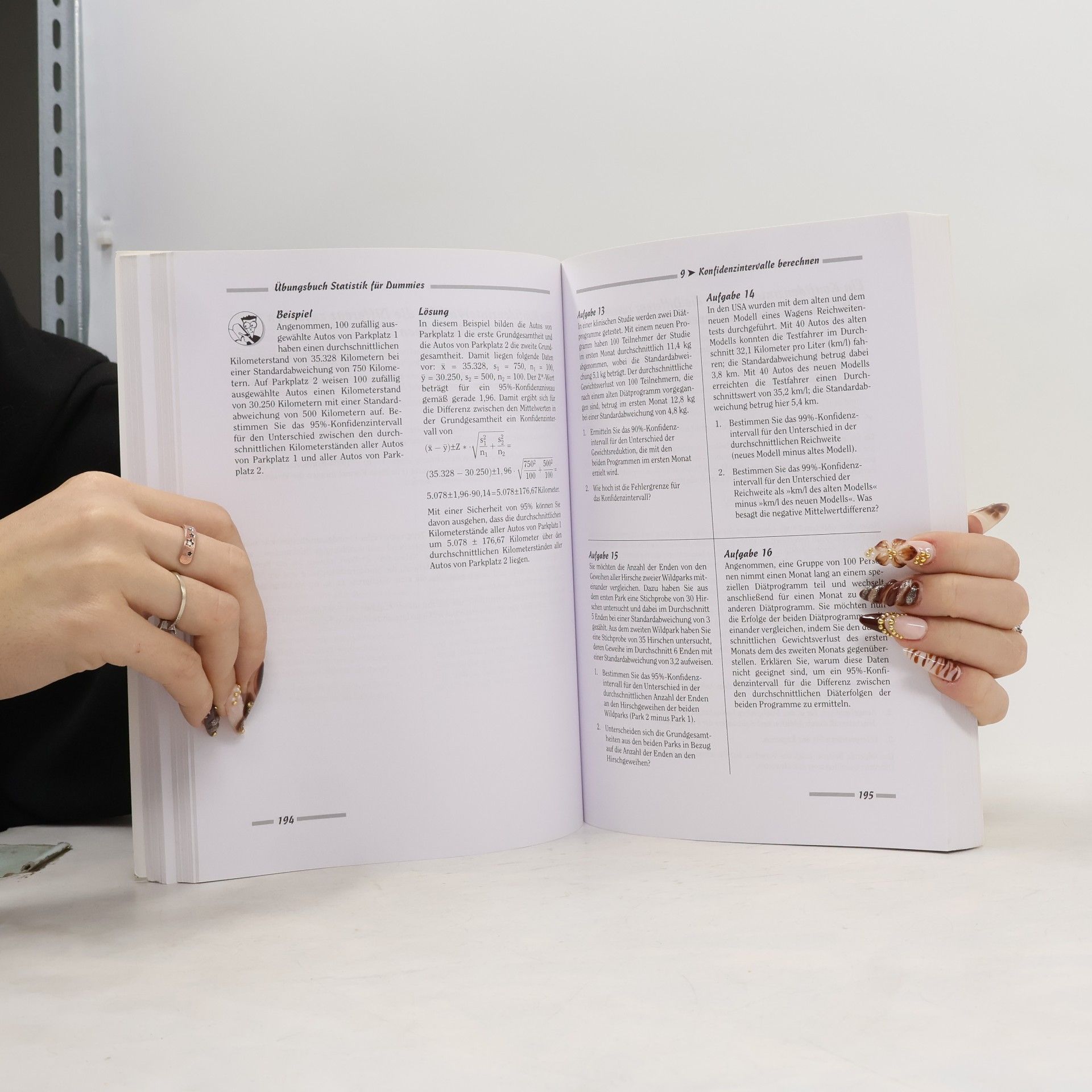 Deborah J. Rumsey Übungsbuch Statistik für Dummies