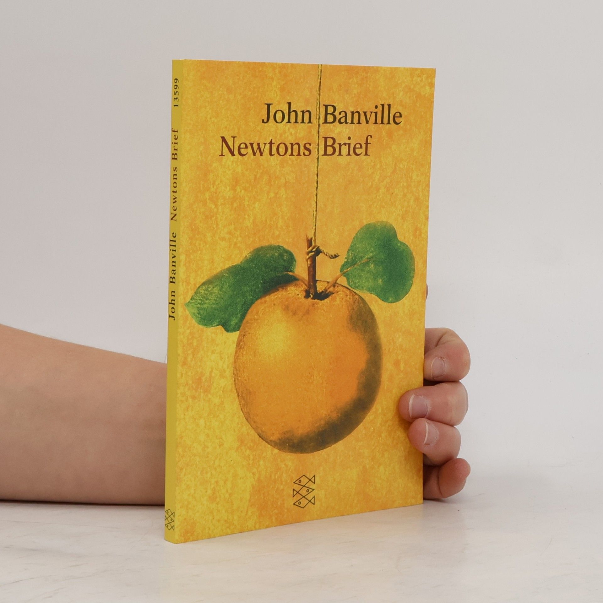 John Banville Newtons Brief
