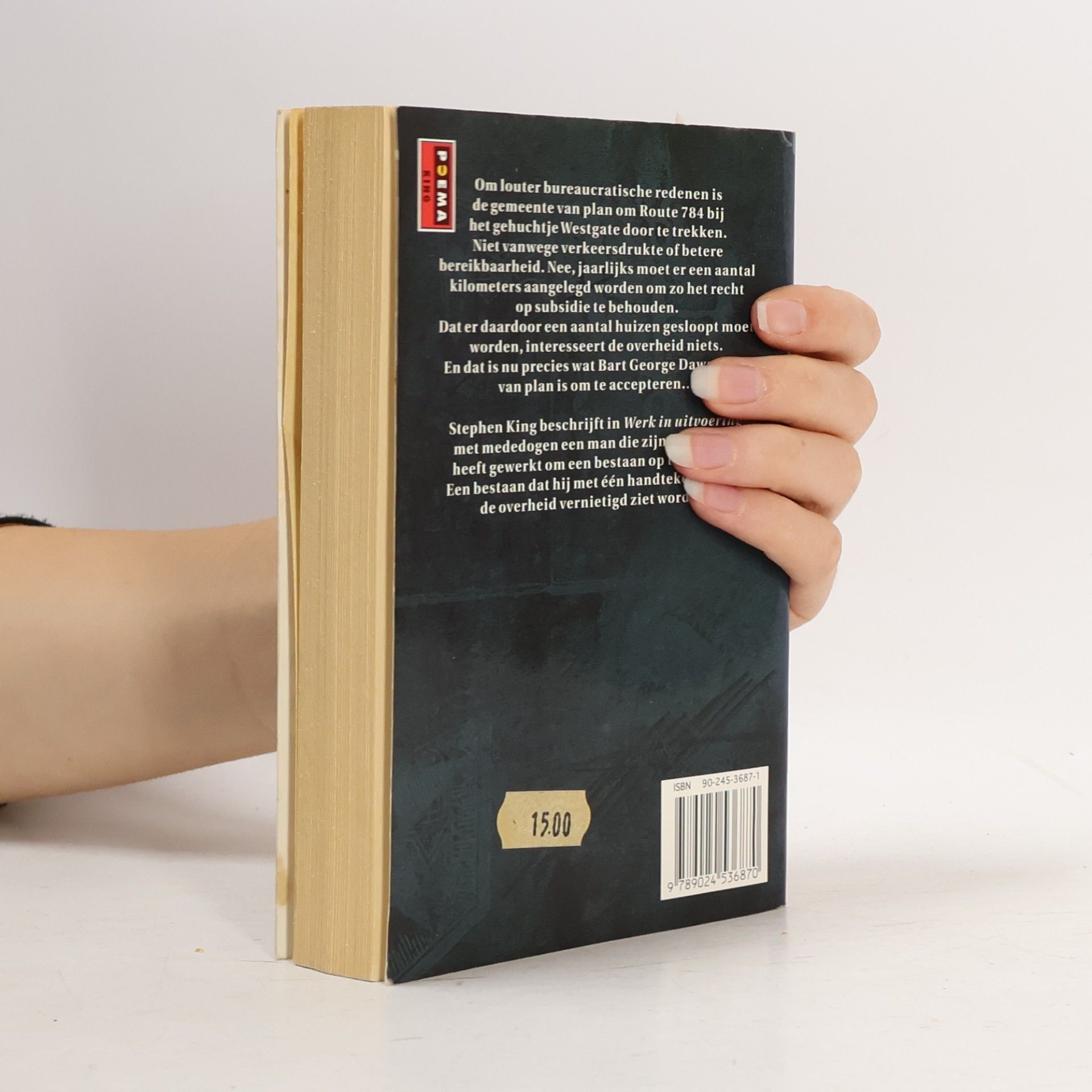 Stephen King Poema Pocket: Werk in uitvoering