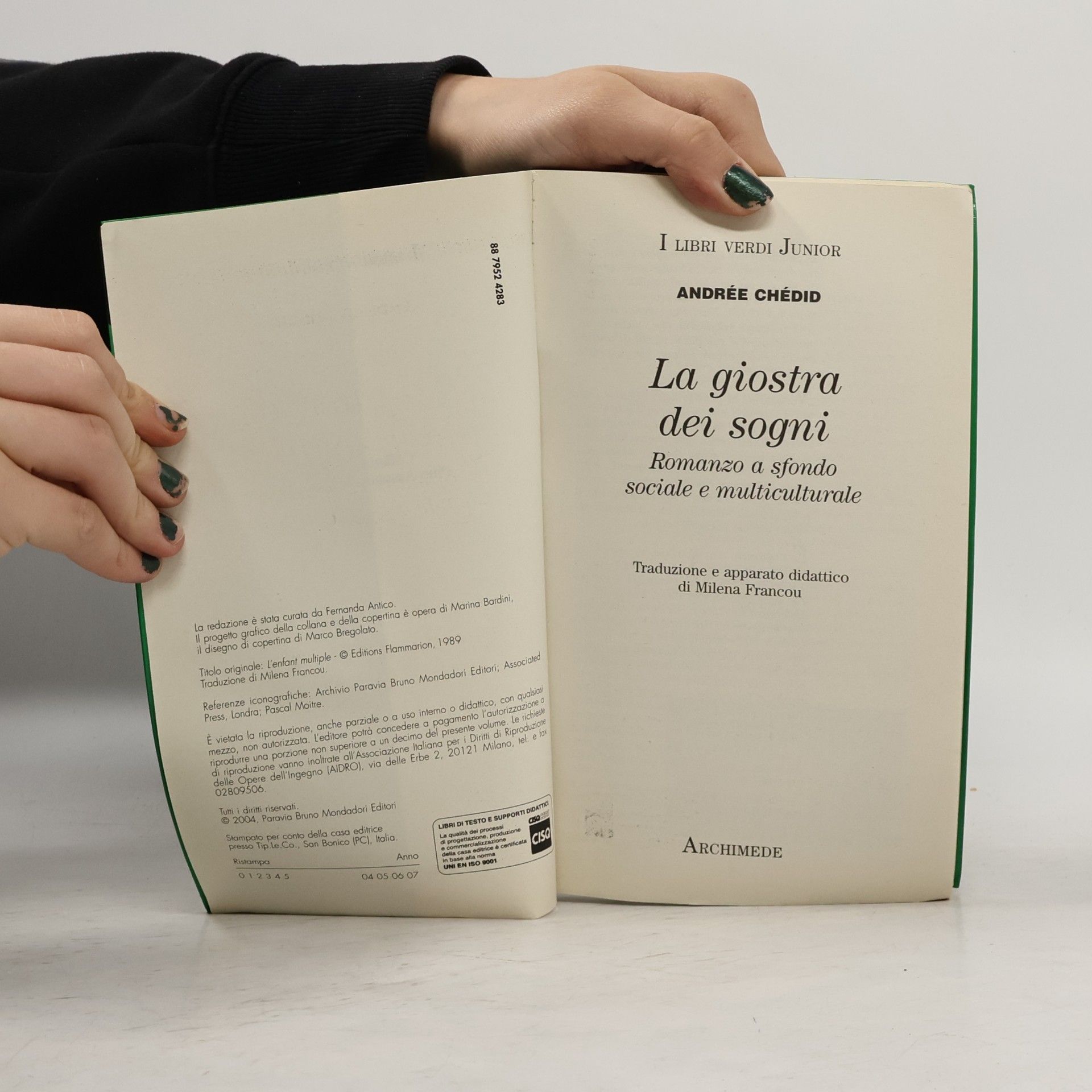 Andrée Chedid I Libri Verdi Junior - 46: La giostra dei sogni