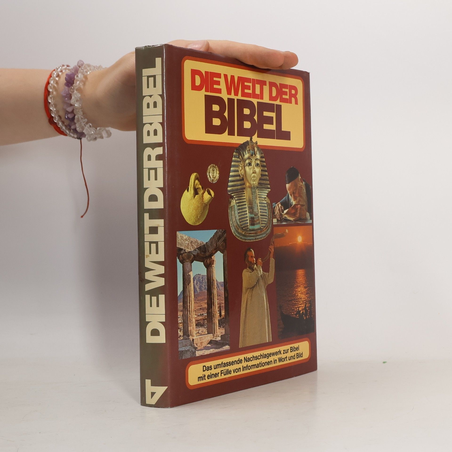 John William Drane Die Welt der Bibel