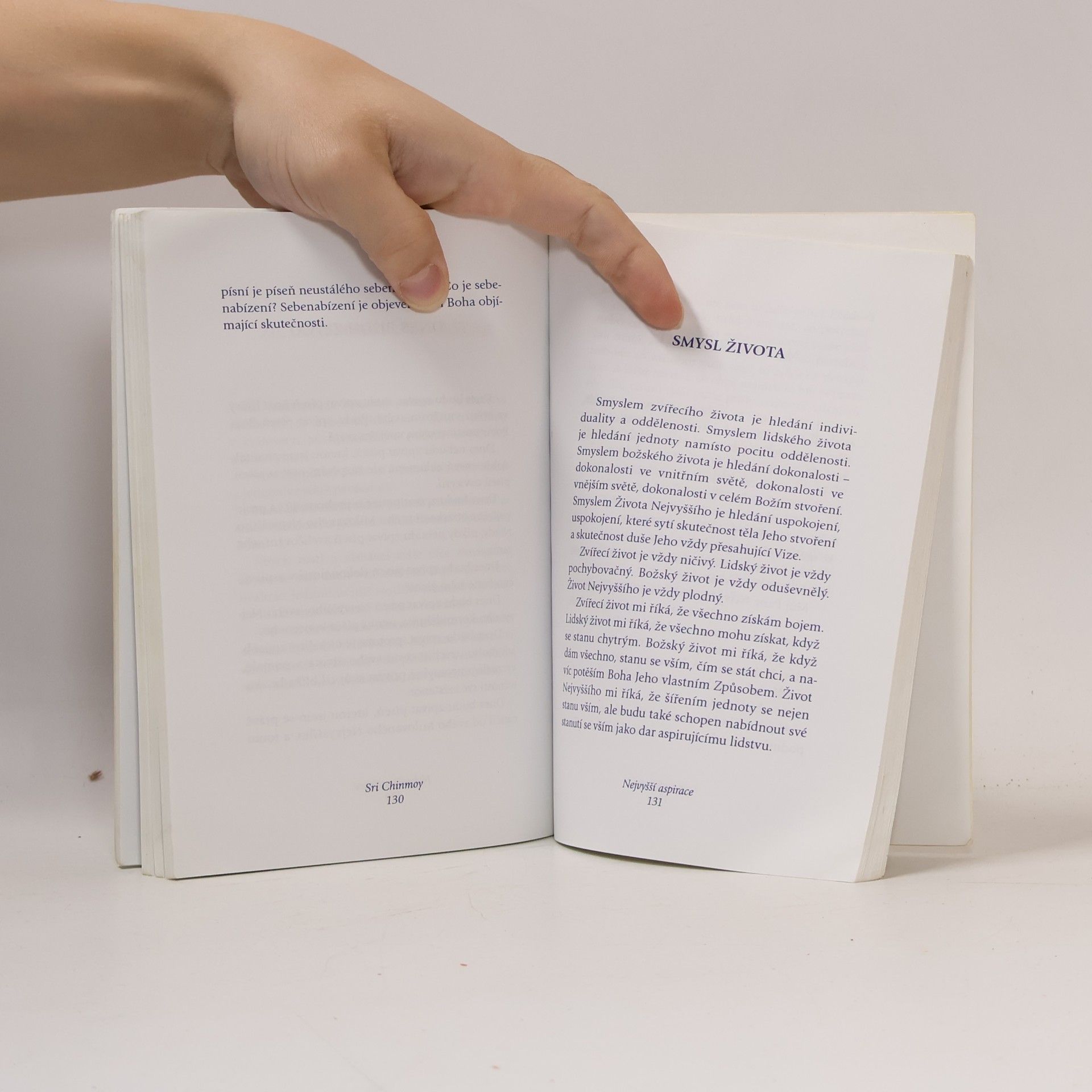 Šrí Činmoj Everest aspirace: Vrchol vnitřního hledání