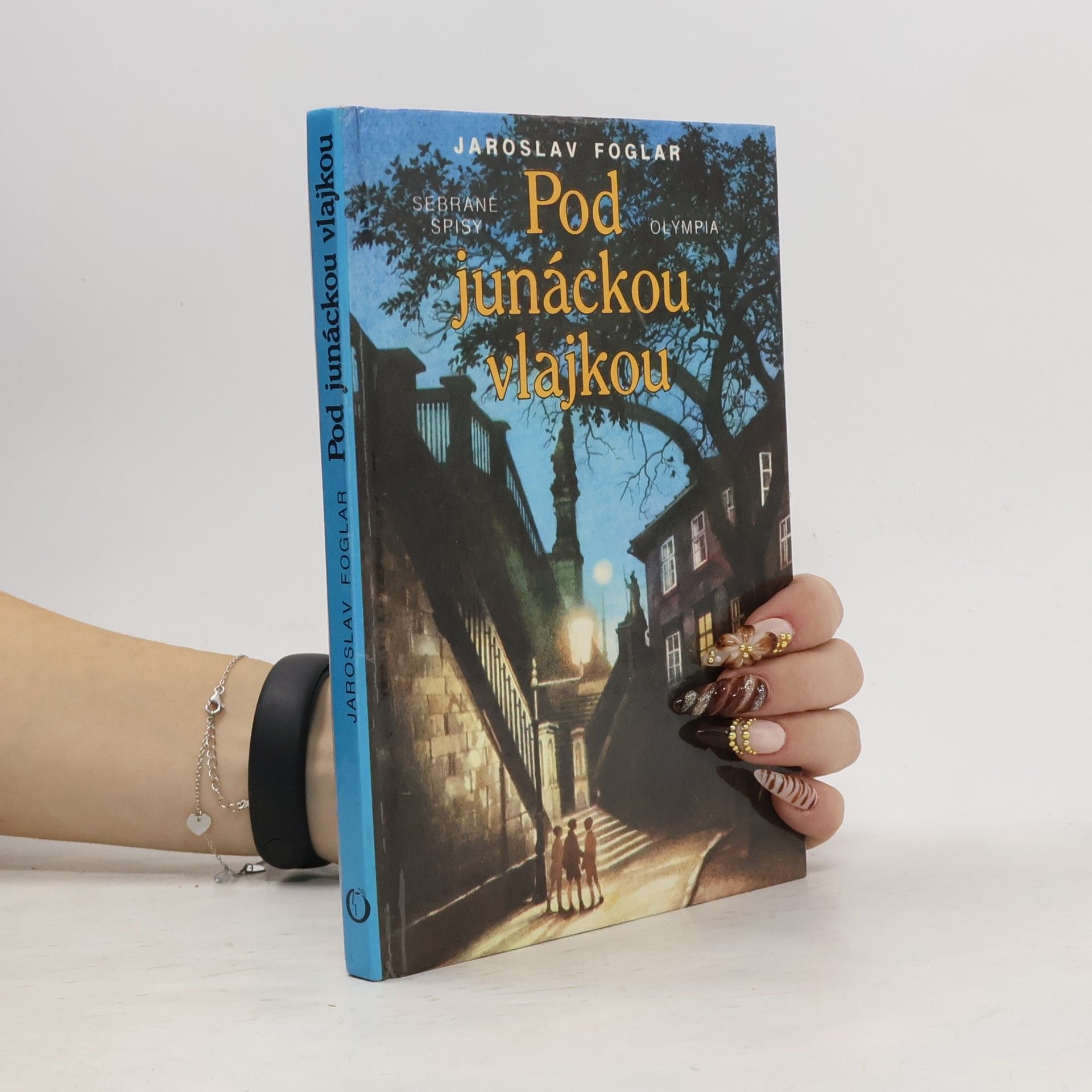 Pod junáckou vlajkou