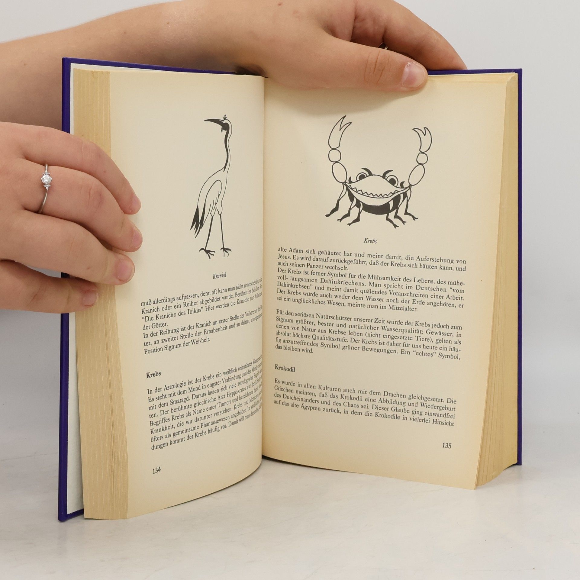 Heinz von Lichem Handbuch der Zahlen und Symbole
