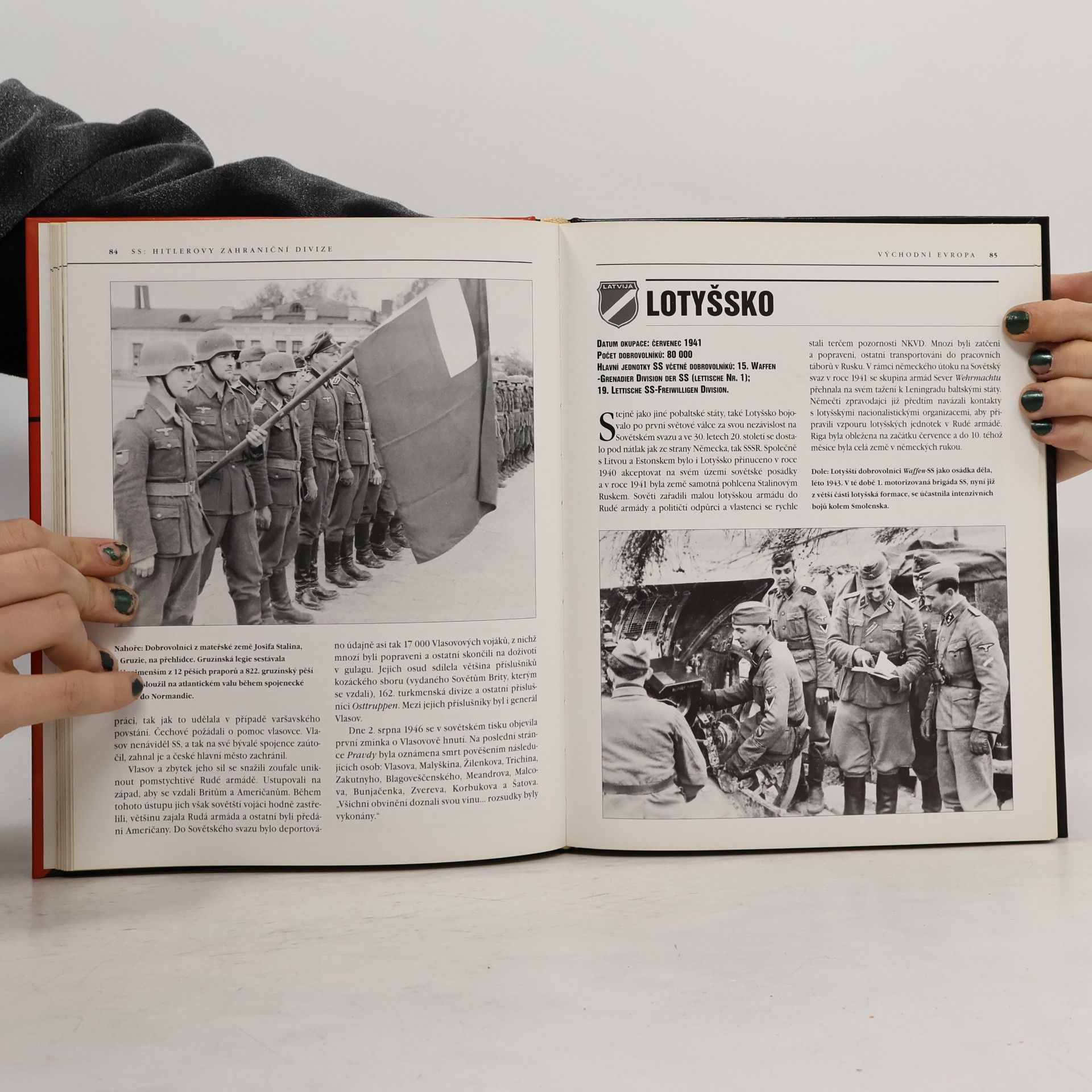 Chris Bishop SS Hitlerovy zahraniční divize. zahraniční dobrovolníci v jednotkách SS v letech 1940-1945