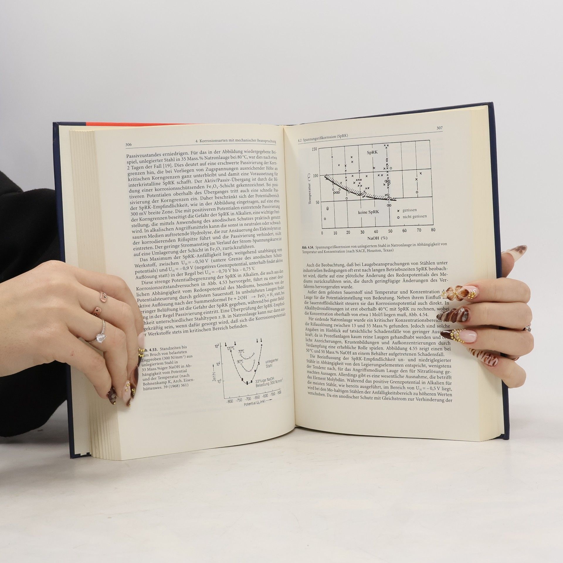 Elsbeth Wendler-Kalsch VDI-Buch: Korrosionsschadenkunde