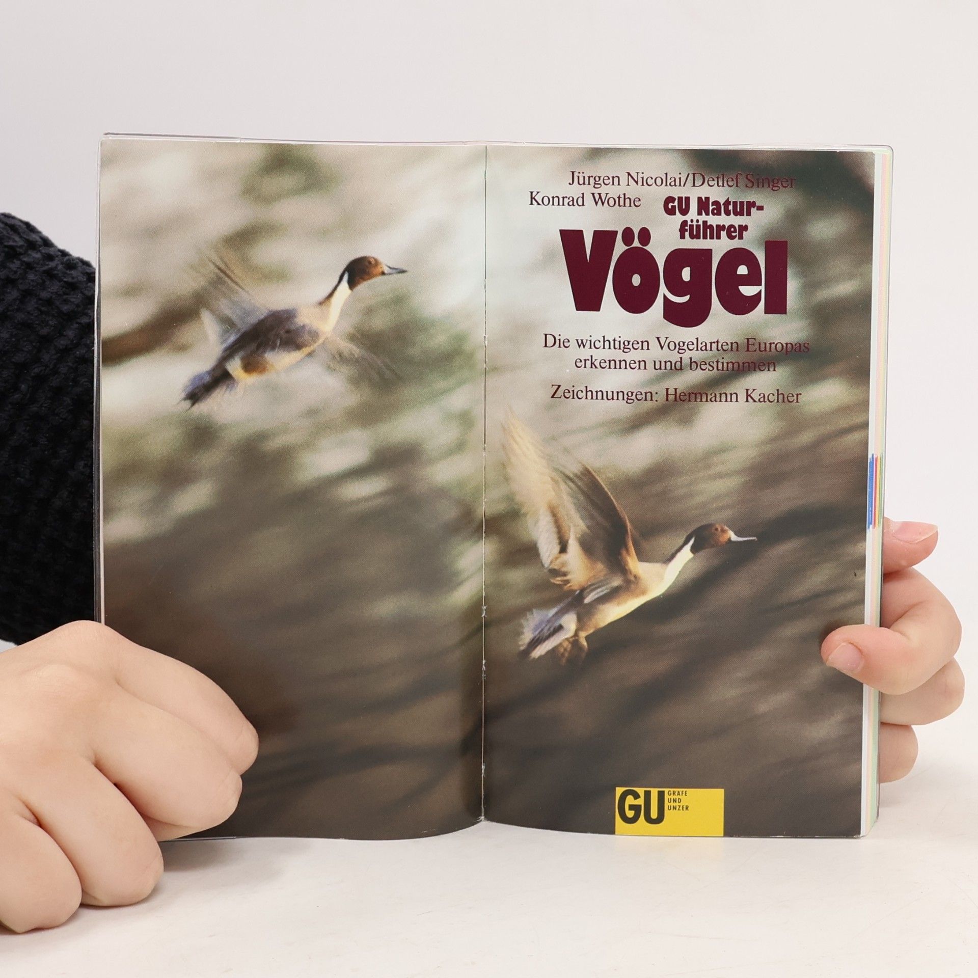 Jürgen Nicolai Grosser Naturführer Vögel