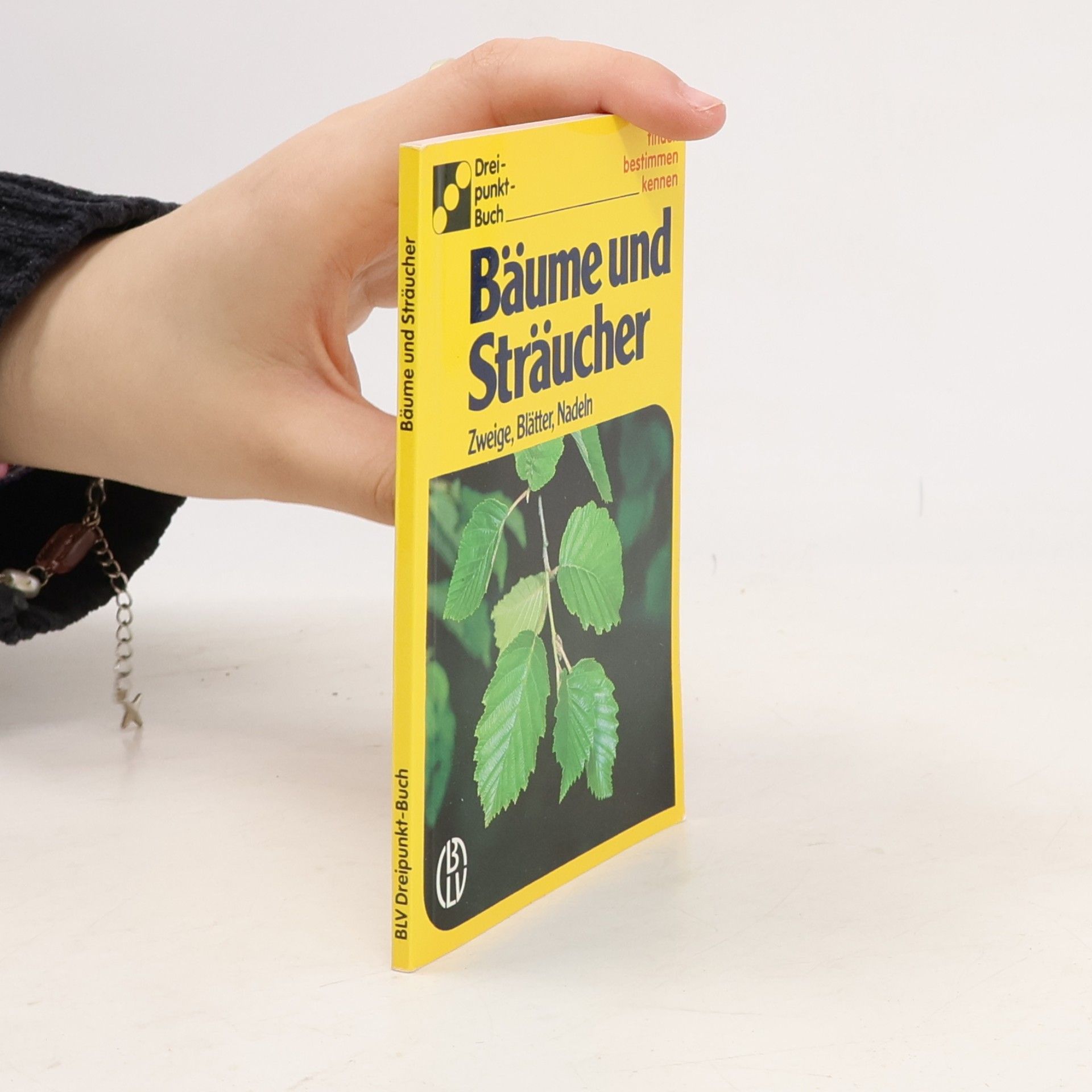 Autorenkollektiv Bäume und Sträucher