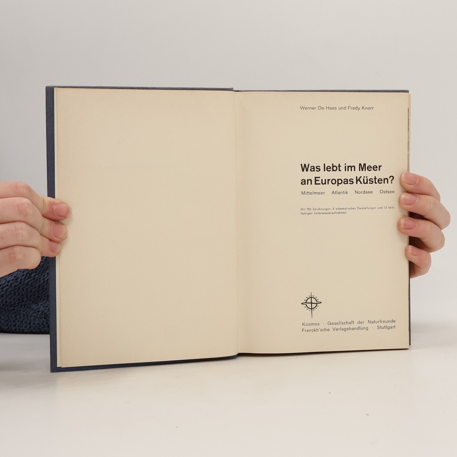 Werner de Haas Was lebt im Meer an Europas Küsten?
