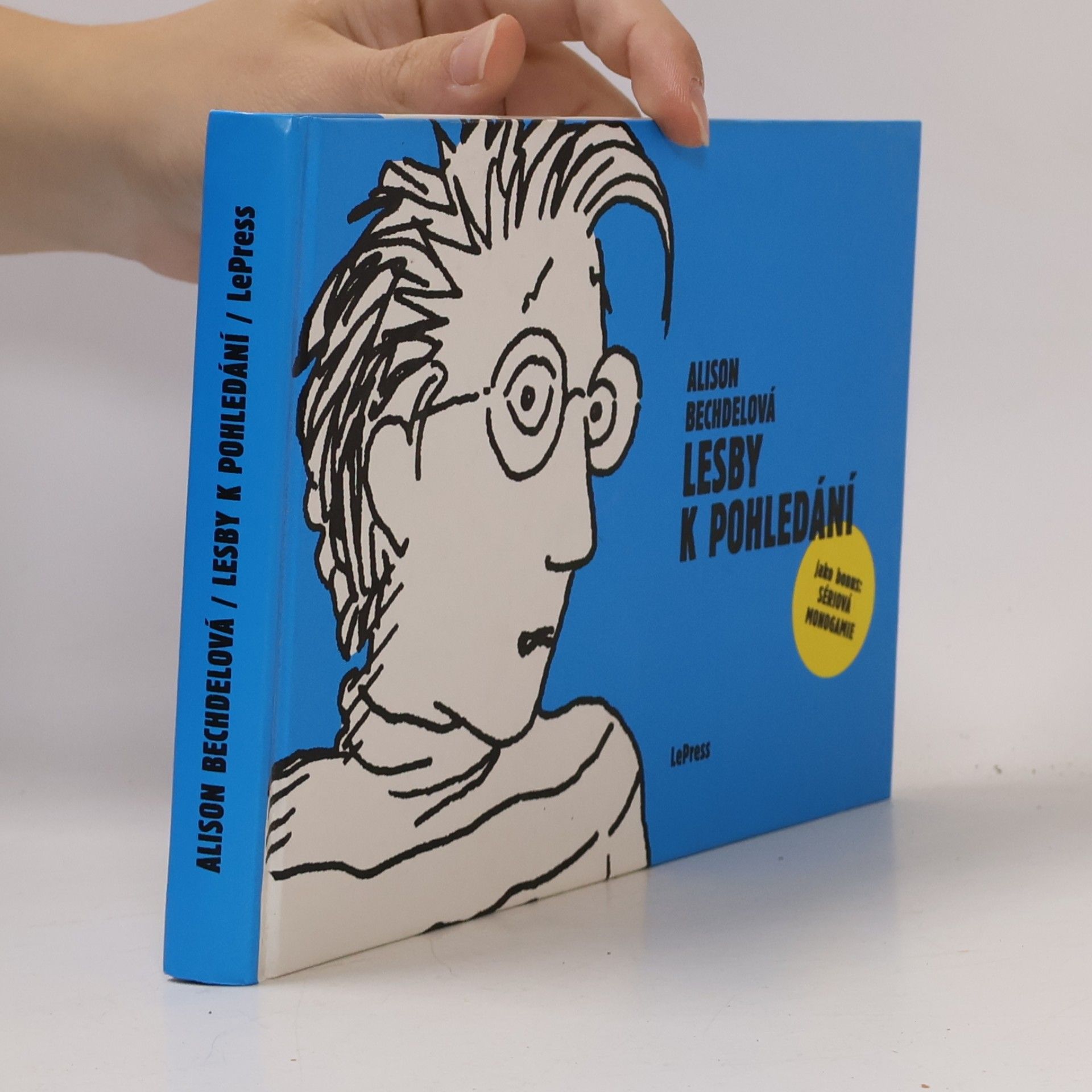 Alison Bechdel Lesby k pohledání