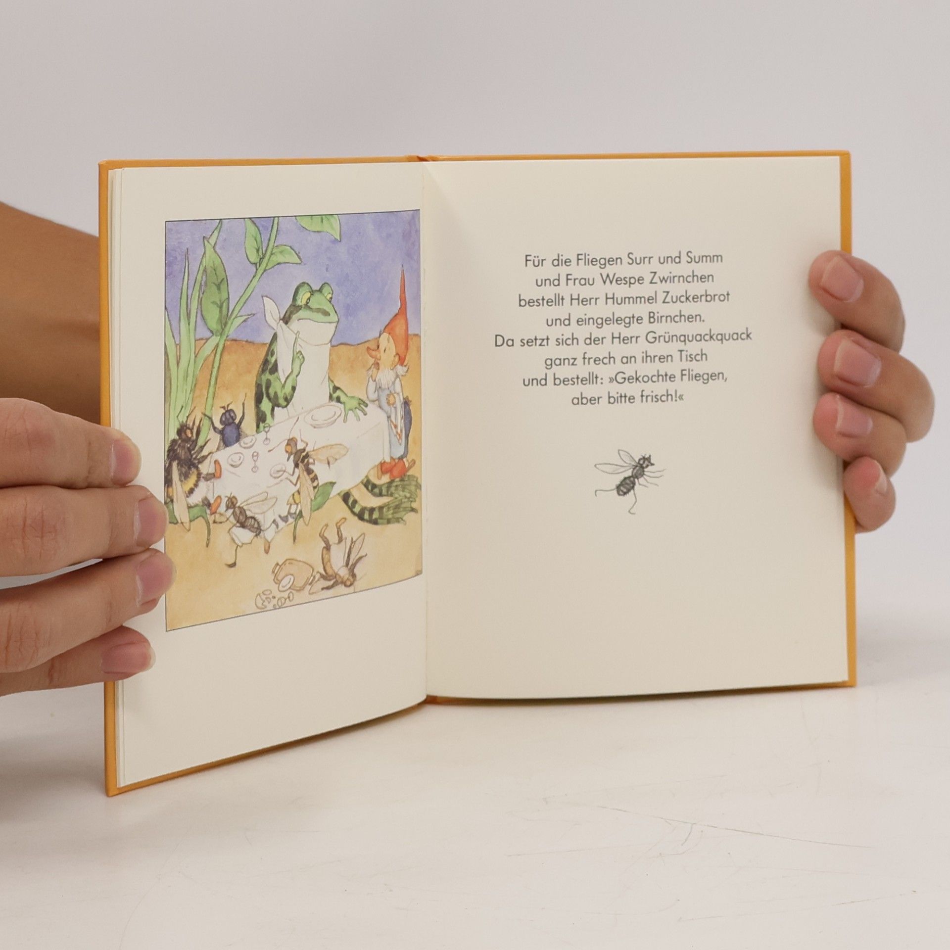 Ida Bohatta-Morpurgo Der Heinzelwirt
