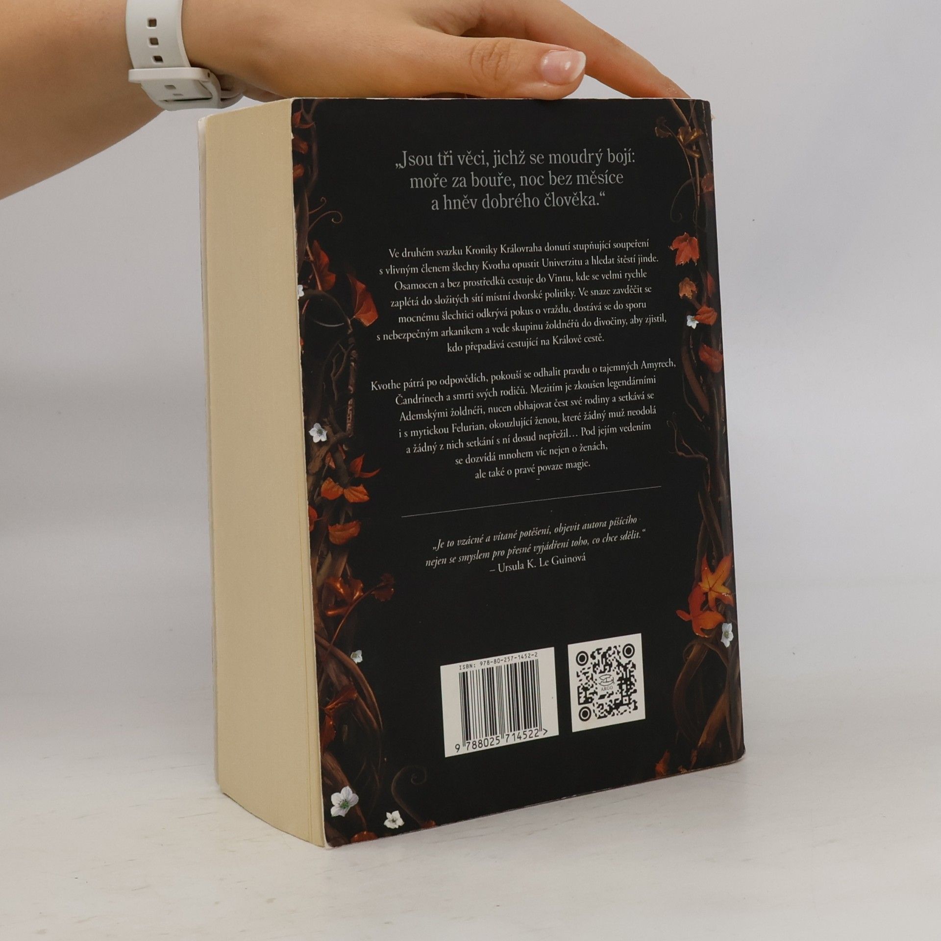 Patrick Rothfuss Strach moudrého muže