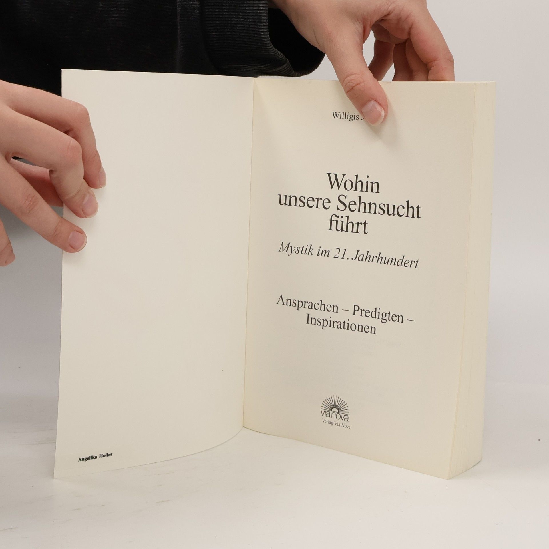 Willigis Jäger Wohin unsere Sehnsucht führt