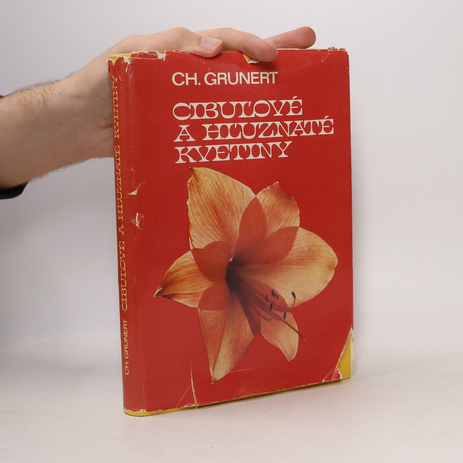 Ch. Grunert Cibuľové a hľuznaté kvetiny