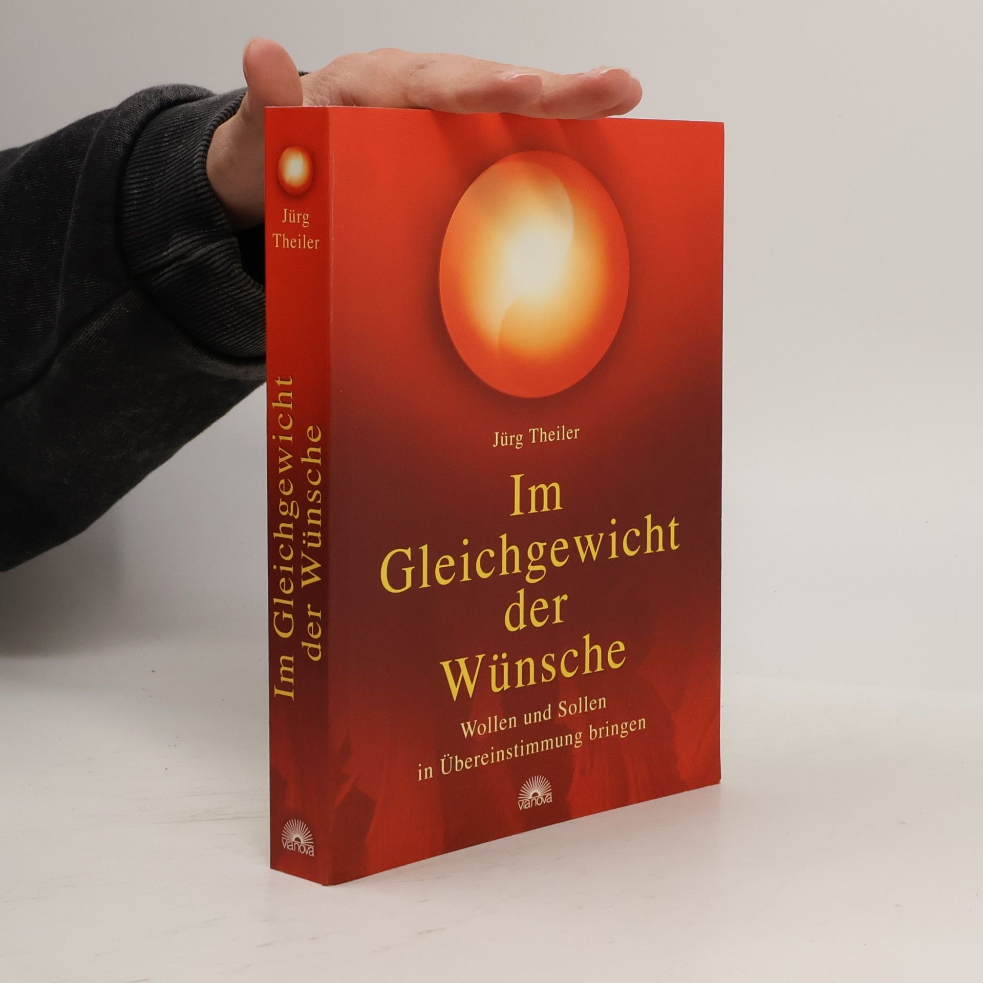 Jürg Theiler Im Gleichgewicht der Wünsche