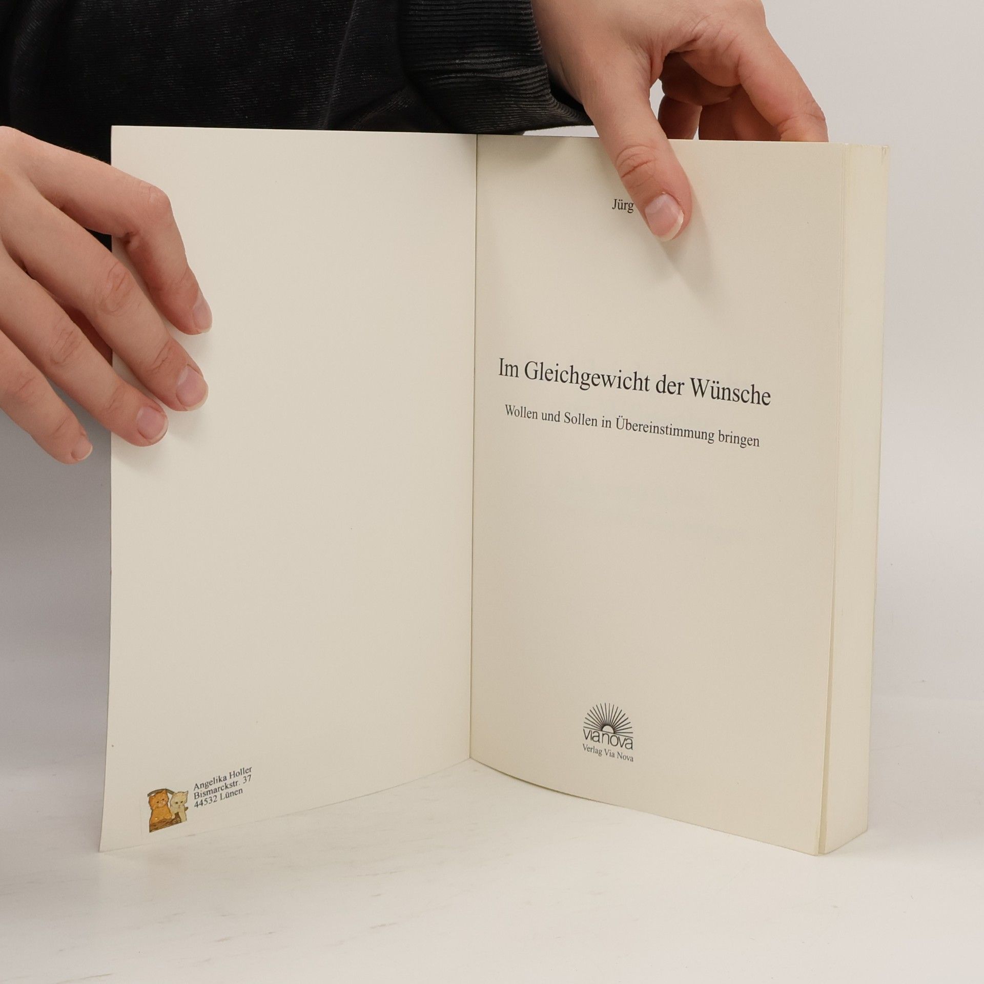 Jürg Theiler Im Gleichgewicht der Wünsche