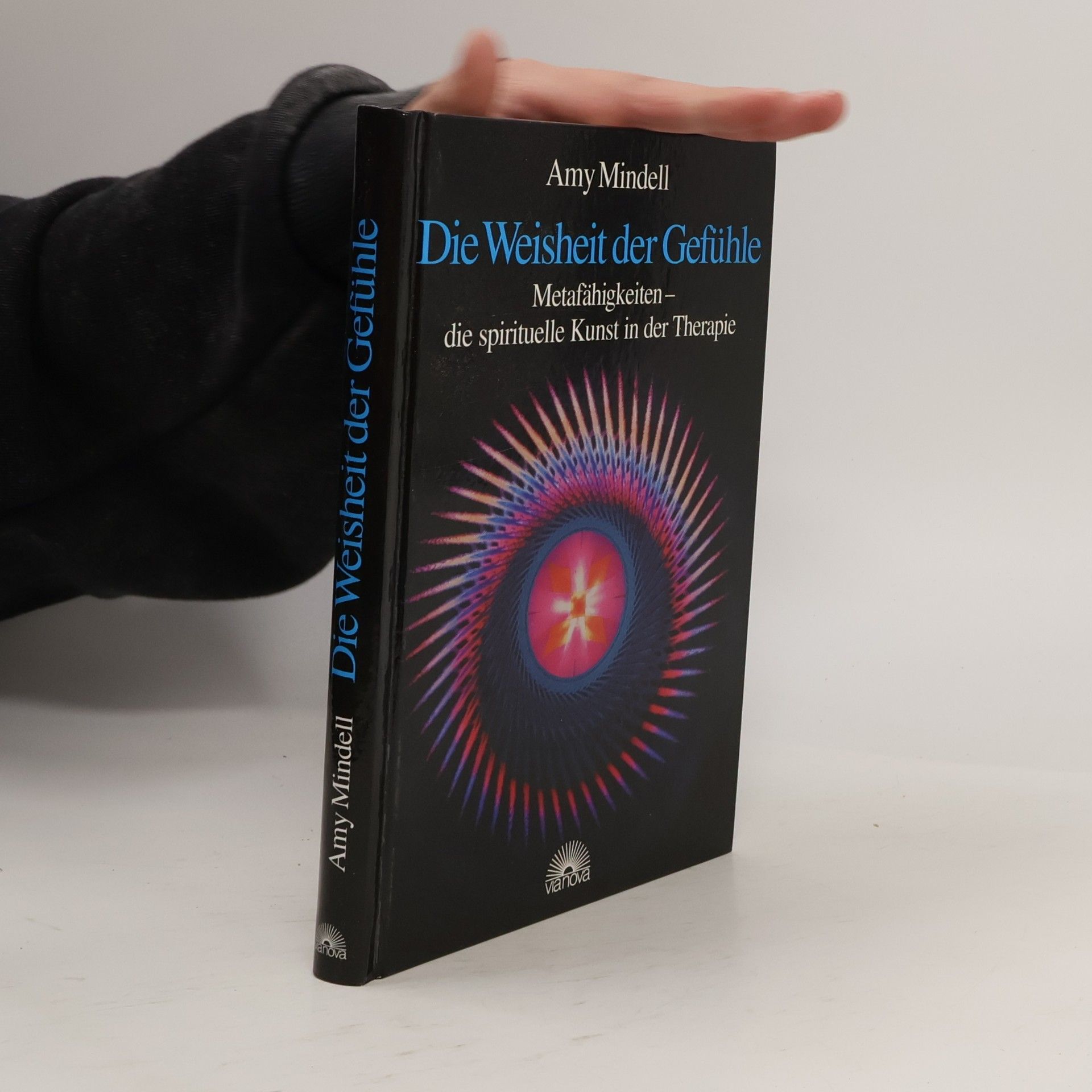 Amy Mindell Die Weisheit der Gefühle