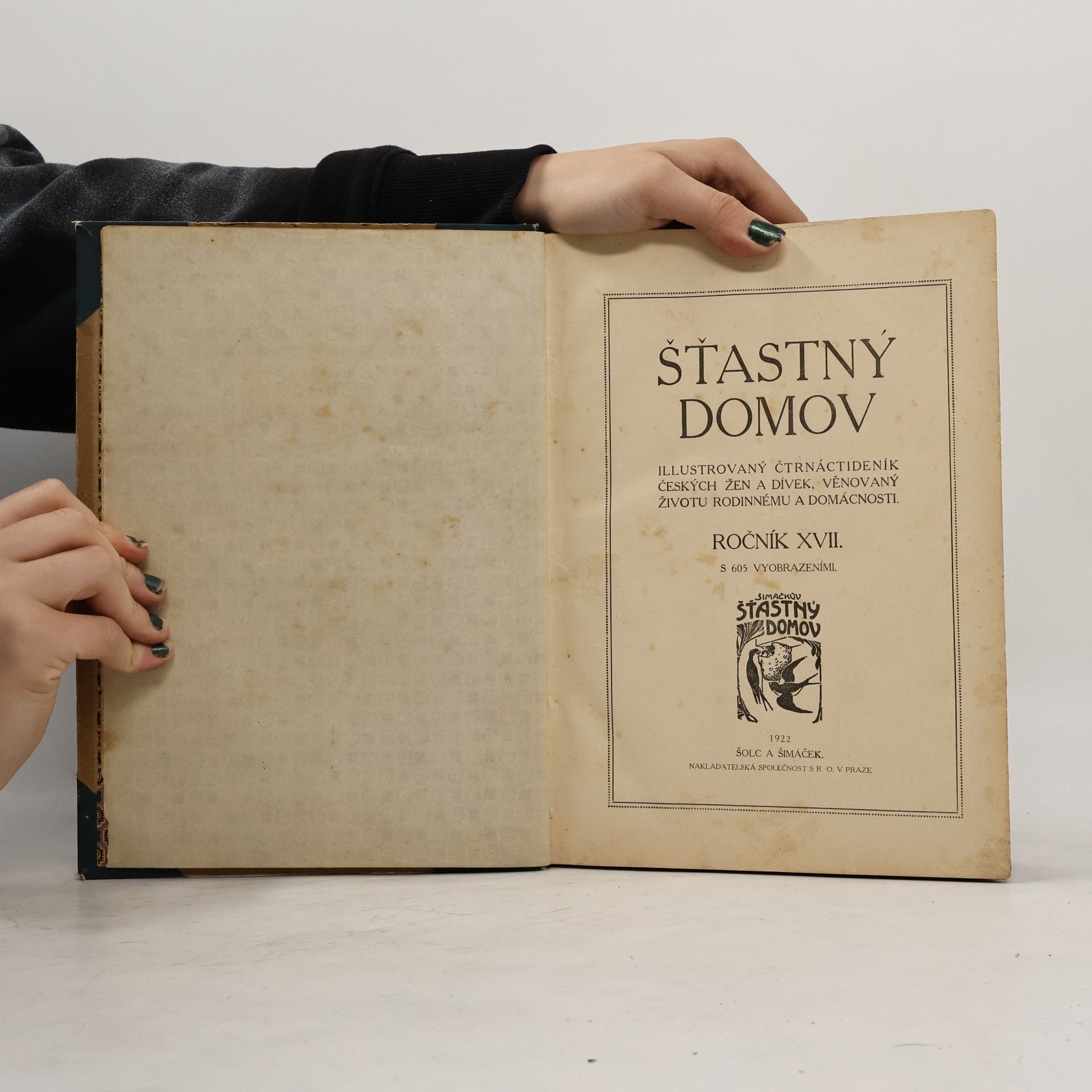 Kolektiv autorů Šťastný domov