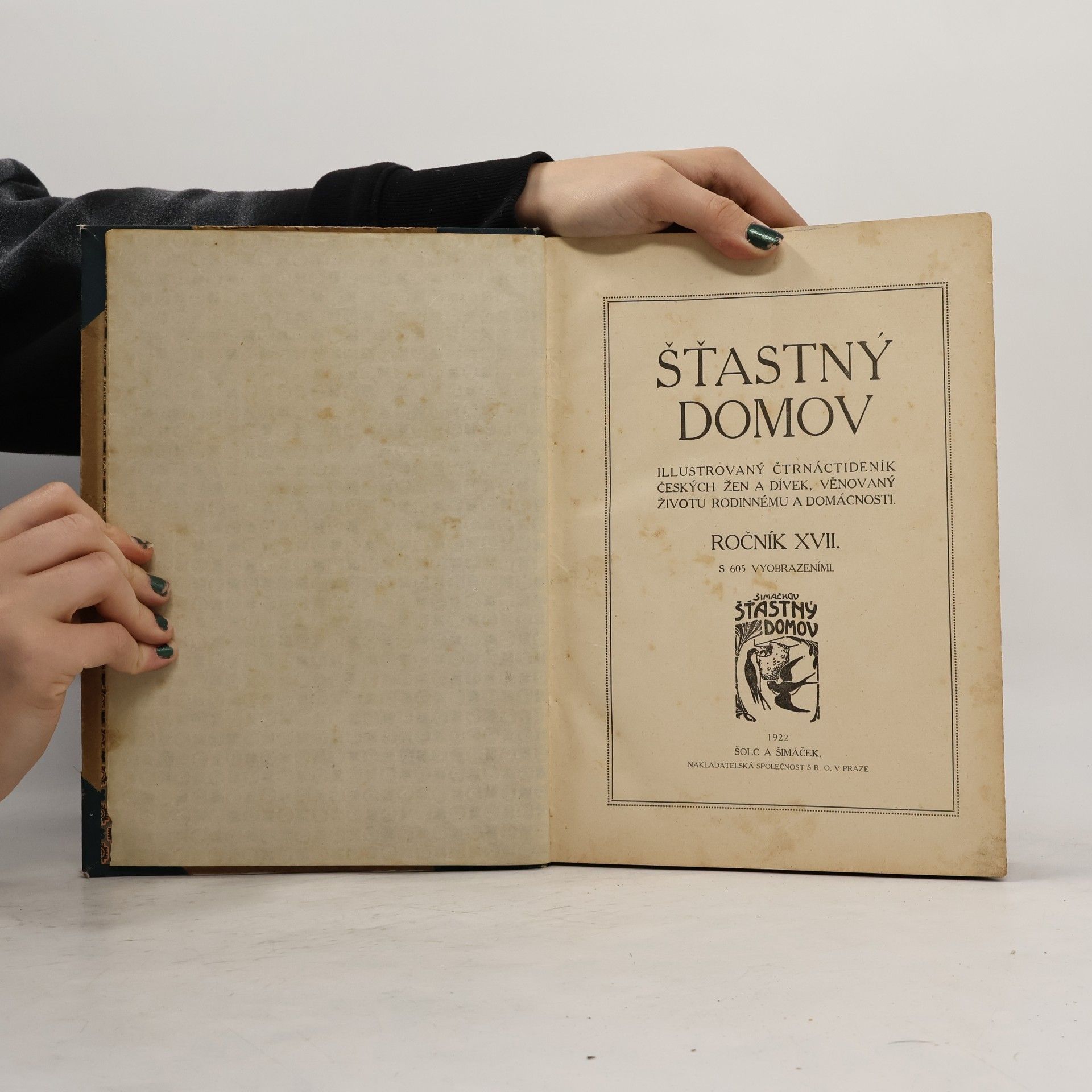 Kolektiv autorů Šťastný domov