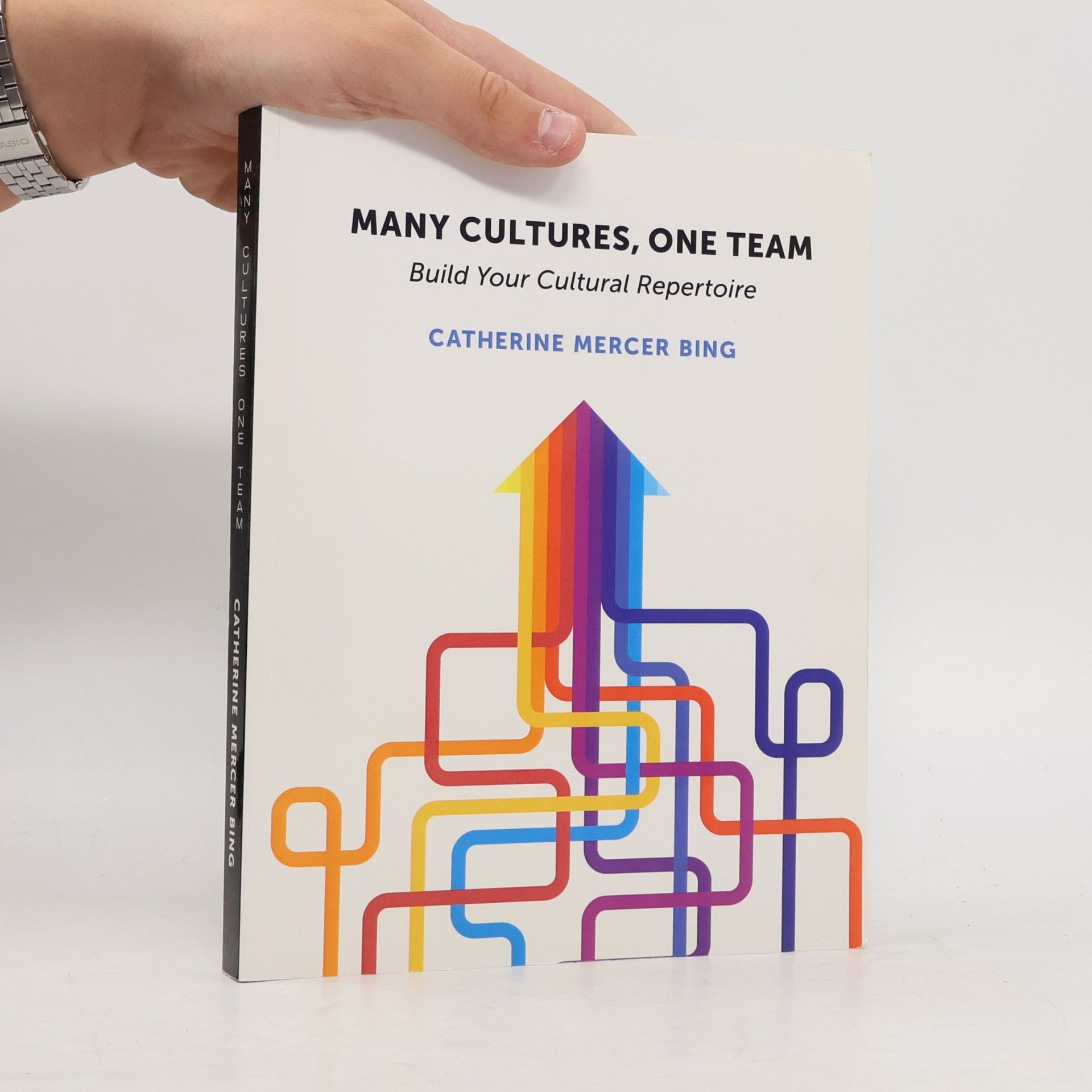 Catherine Mercer Bing Many Cultures, One Team