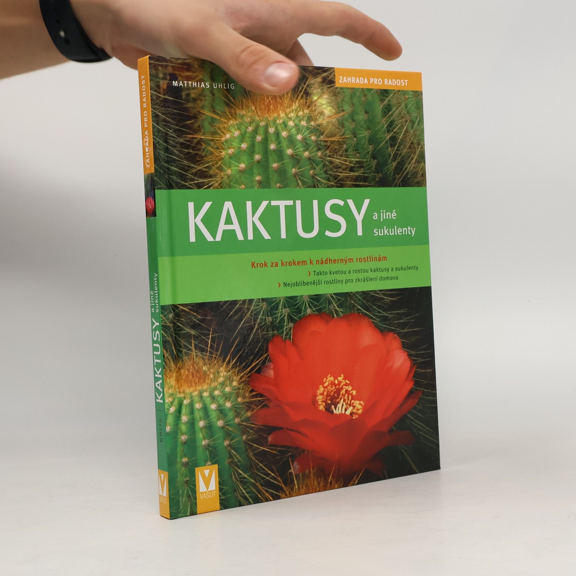 Kaktusy a jiné sukulenty