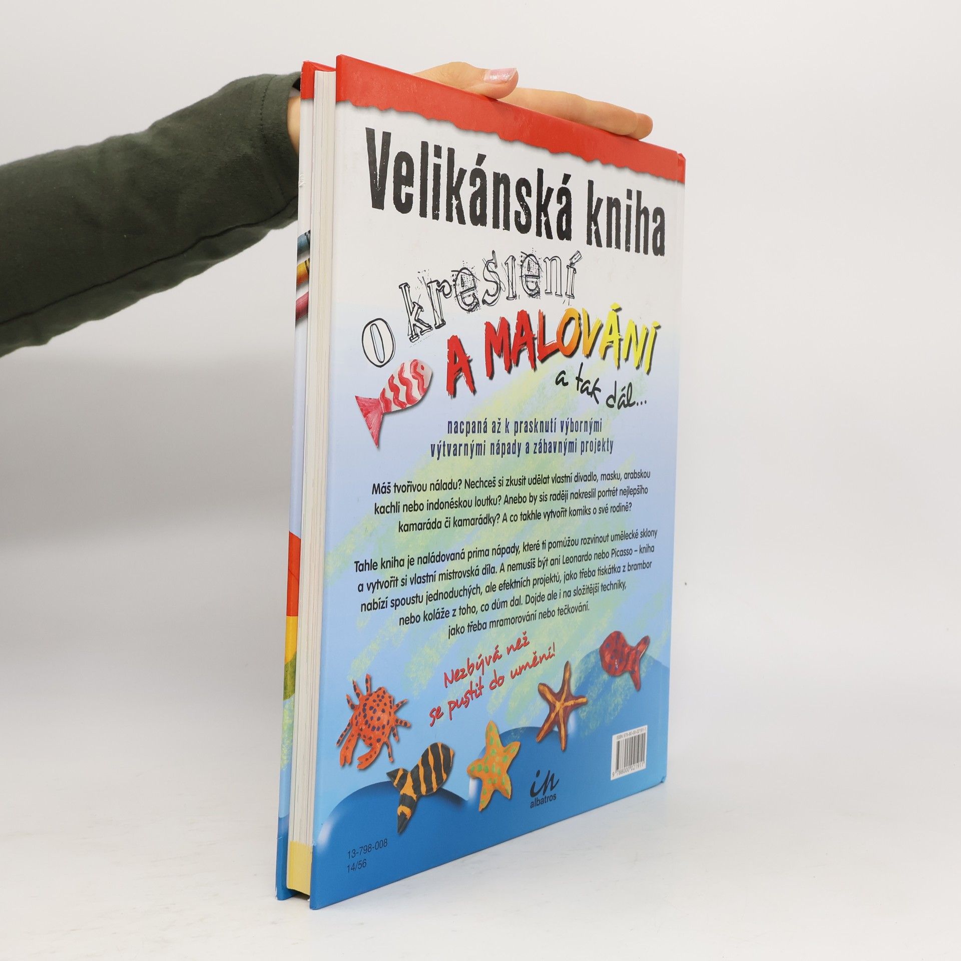 Sue Nicholson Velikánská kniha o kreslení a malování a tak dál--