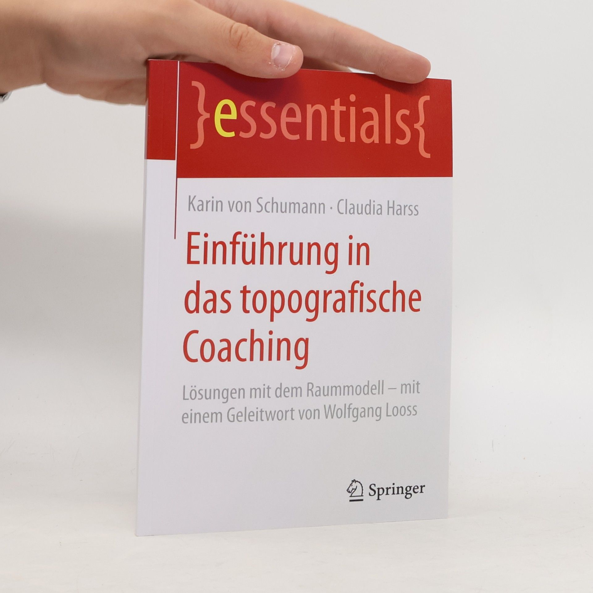 essentials: Einführung in das topografische Coaching