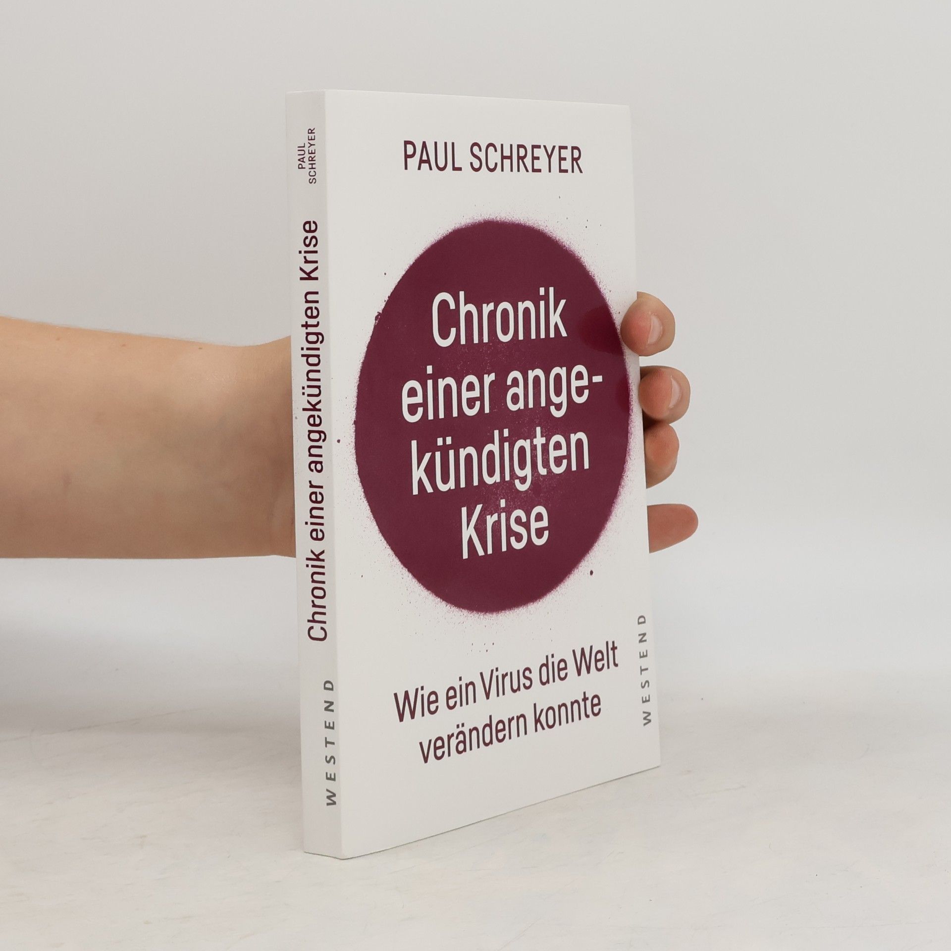 Paul Schreyer Chronik einer angekündigten Krise