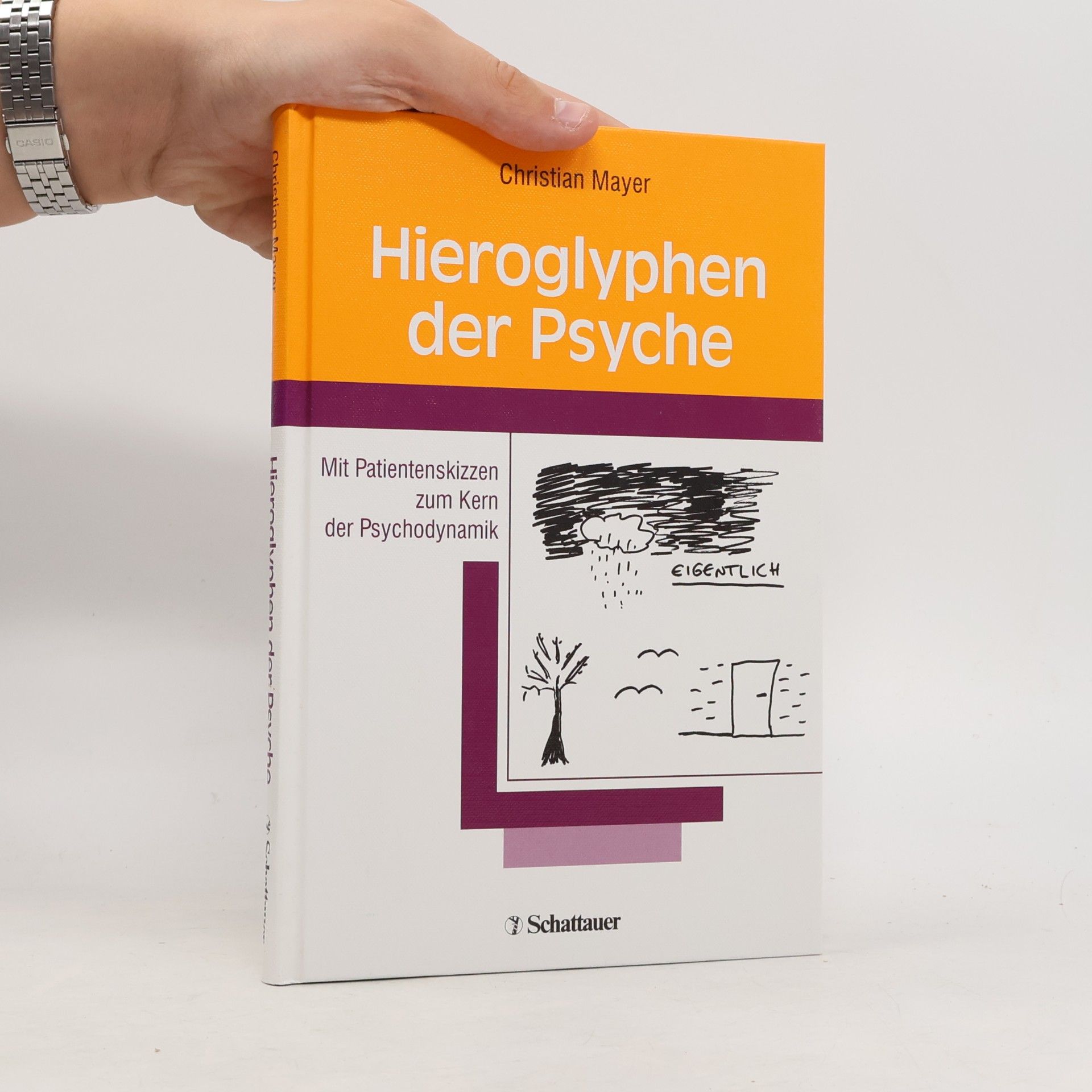 Christian Mayer Hieroglyphen der Psyche