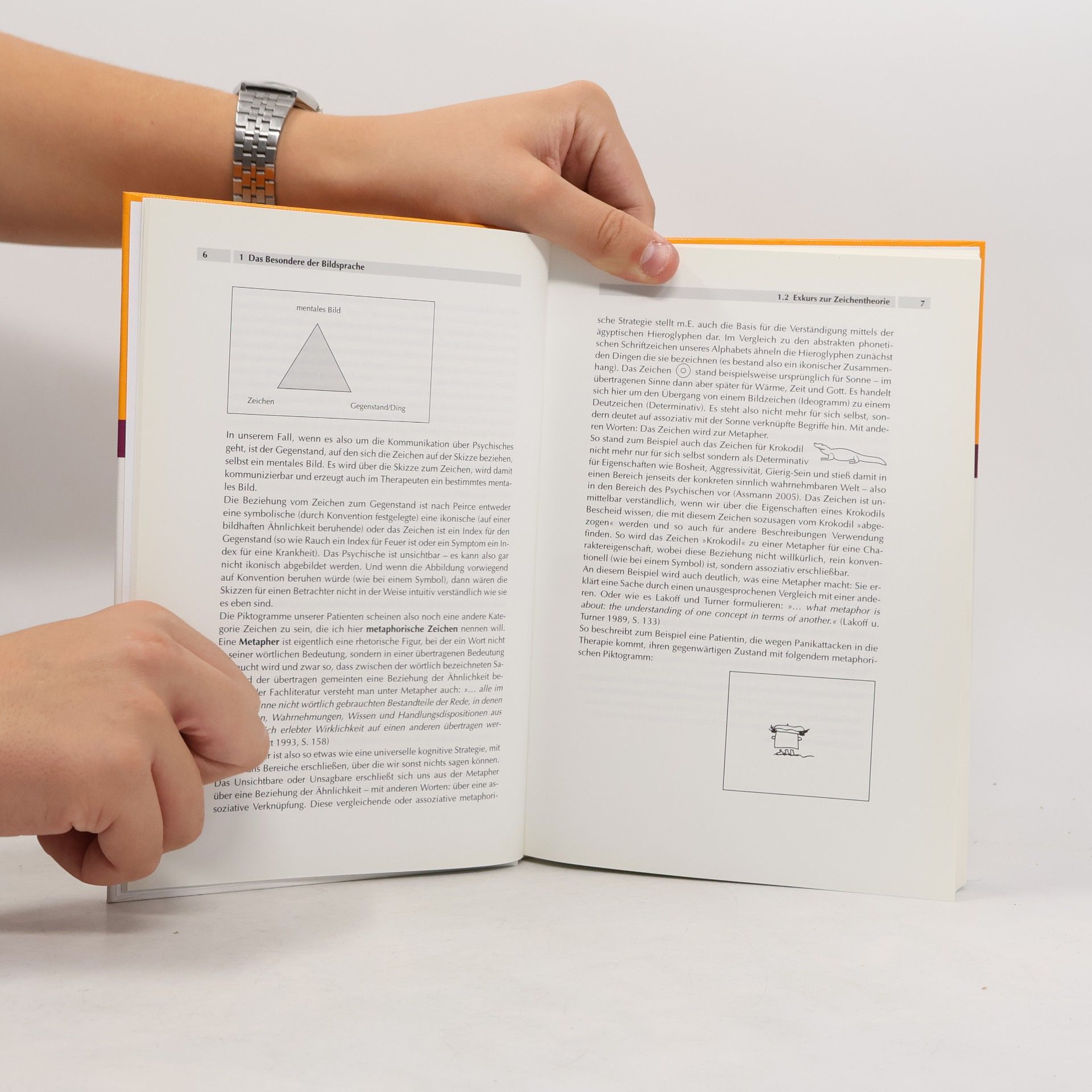 Christian Mayer Hieroglyphen der Psyche