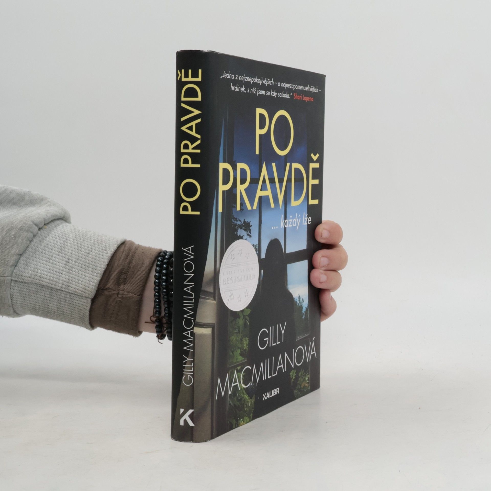 Gilly Macmillan Po pravdě ...každý lže