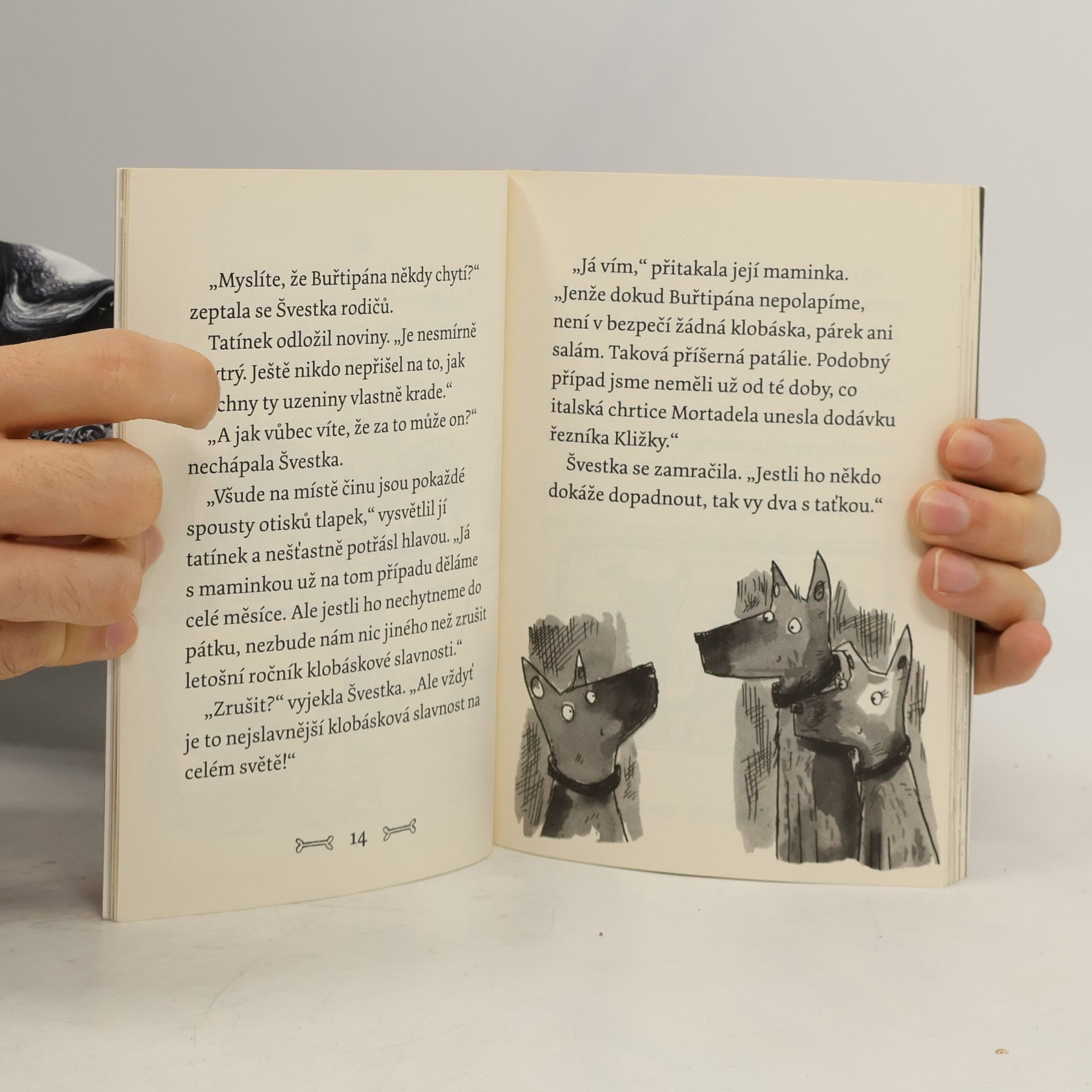 Gill Lewis Špekáčkova psí akademie. Švestka a zloděj klobásek