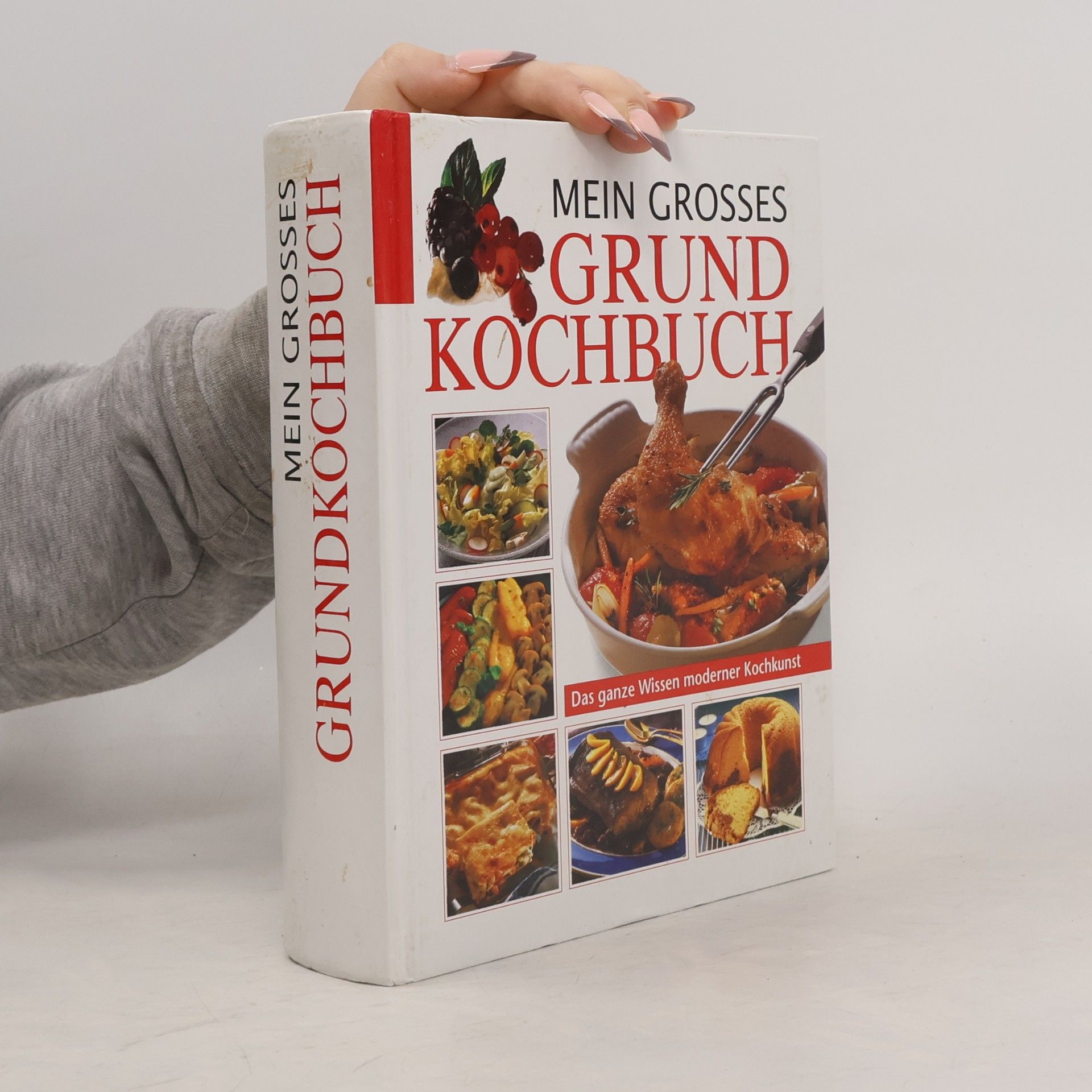 Autorenkollektiv Mein grosses Grundkochbuch