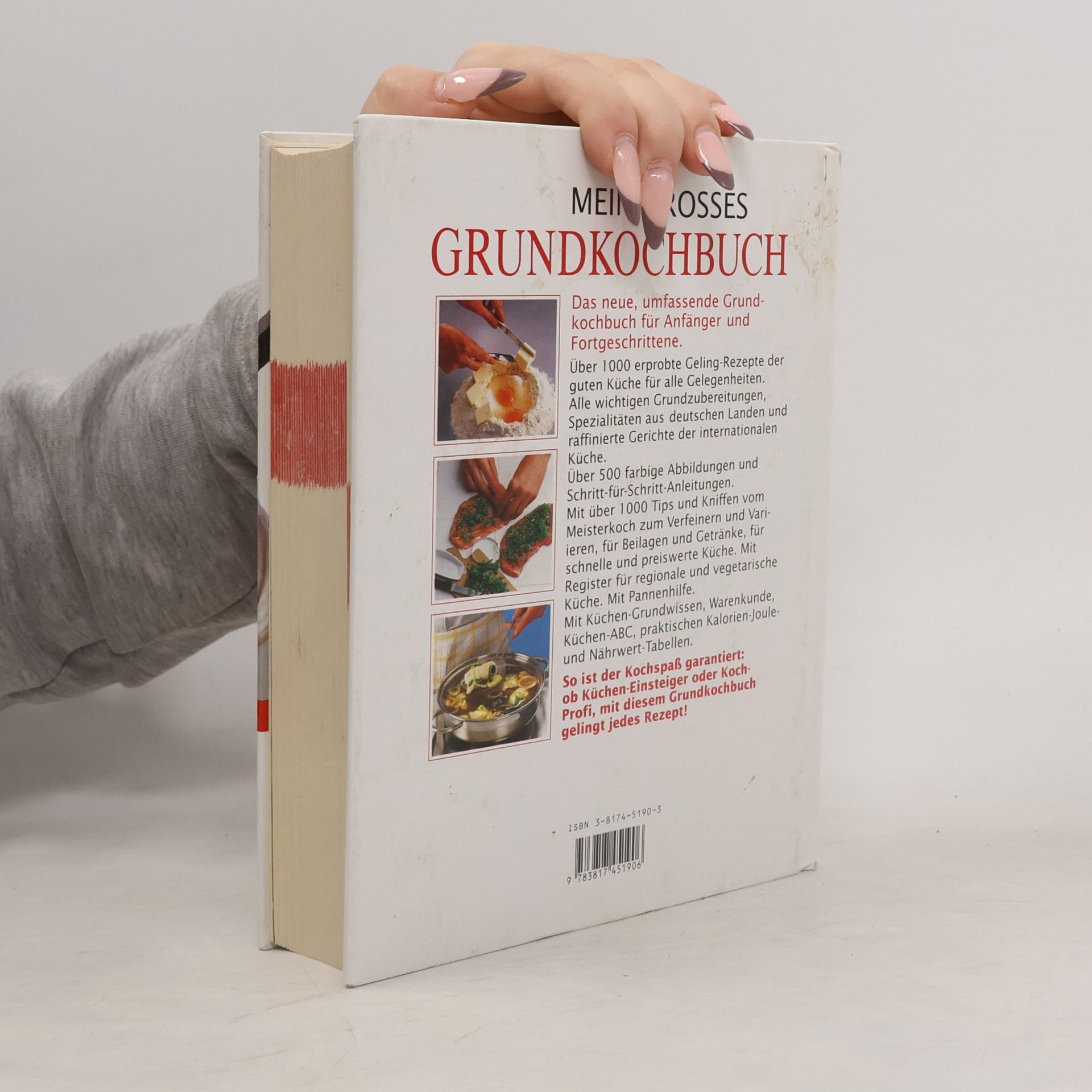 Autorenkollektiv Mein grosses Grundkochbuch