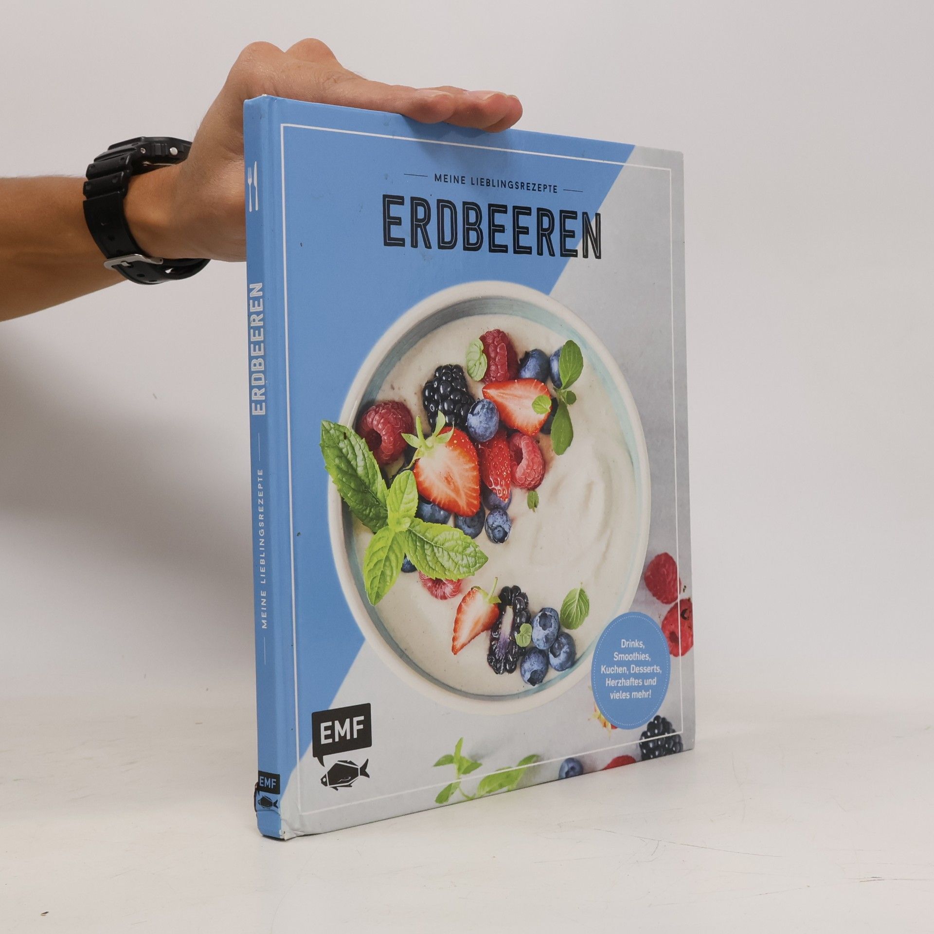 kolektiv Erdbeeren