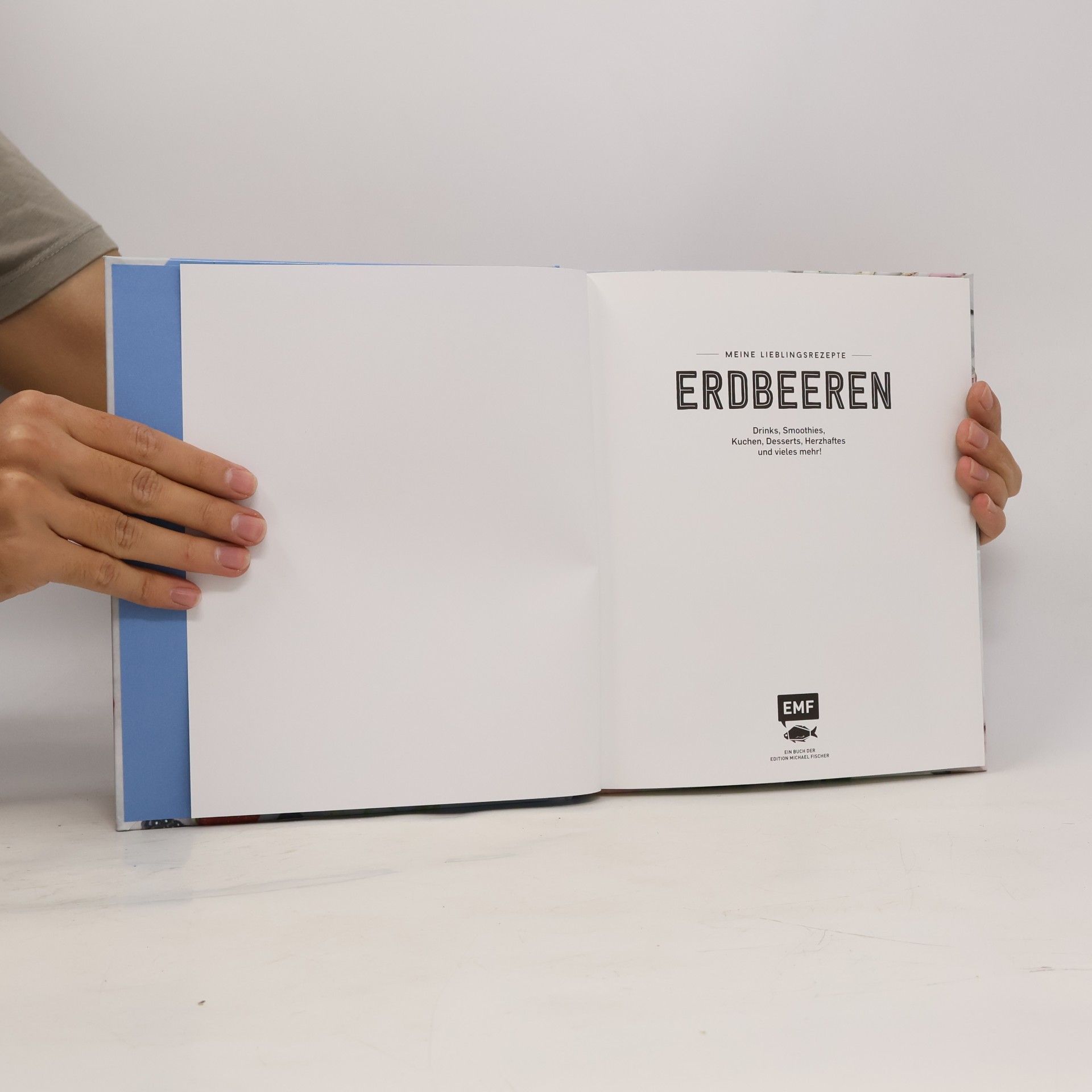 kolektiv Erdbeeren