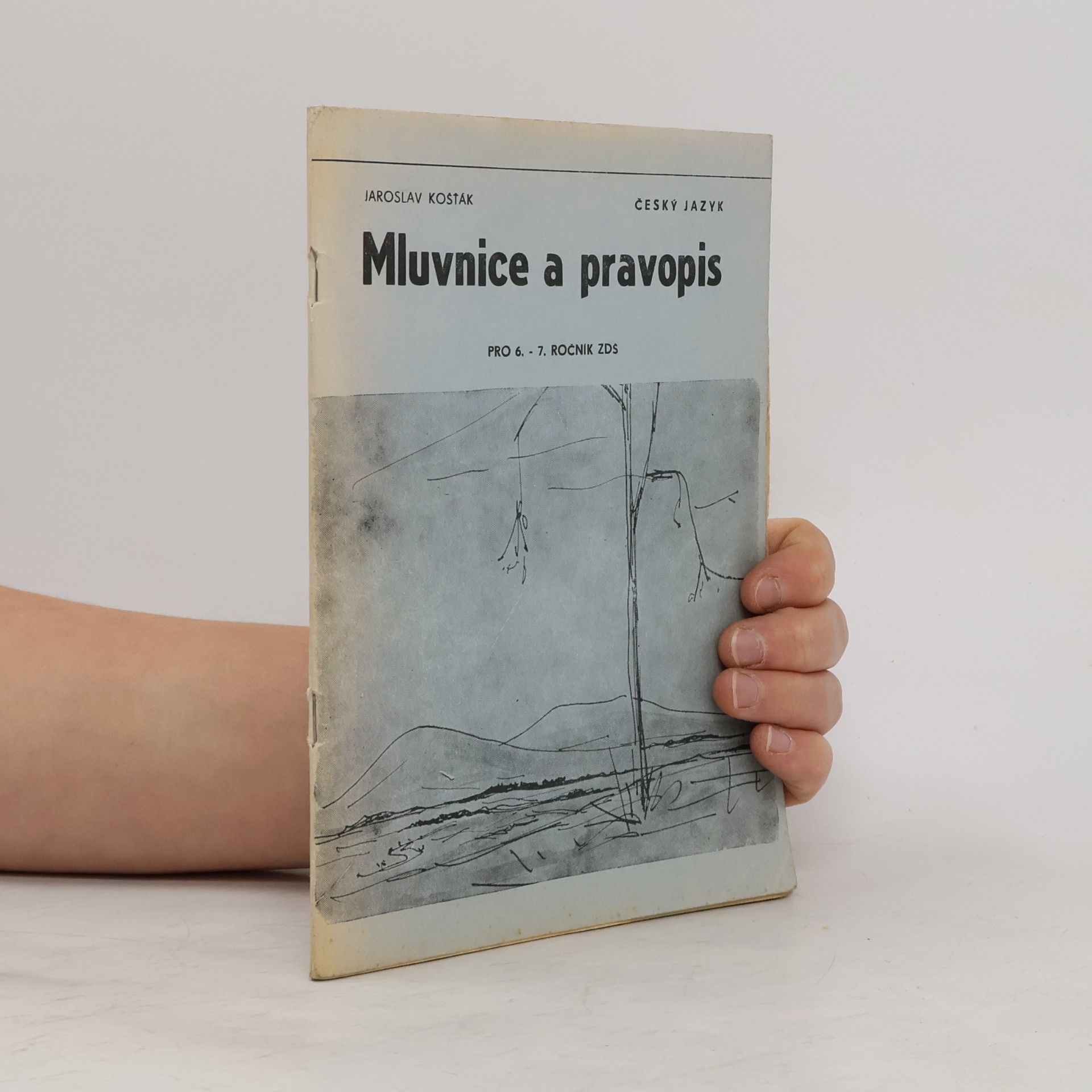 Jaromír Košťák Mluvnice a pravopis