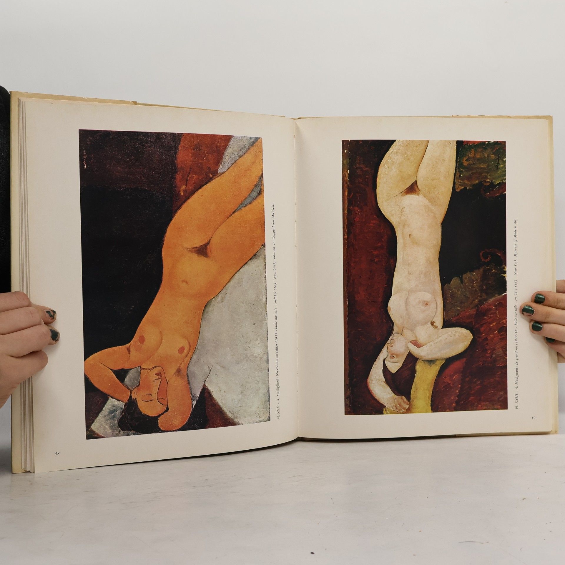 Roger van Gindertael Modigliani et Montparnasse