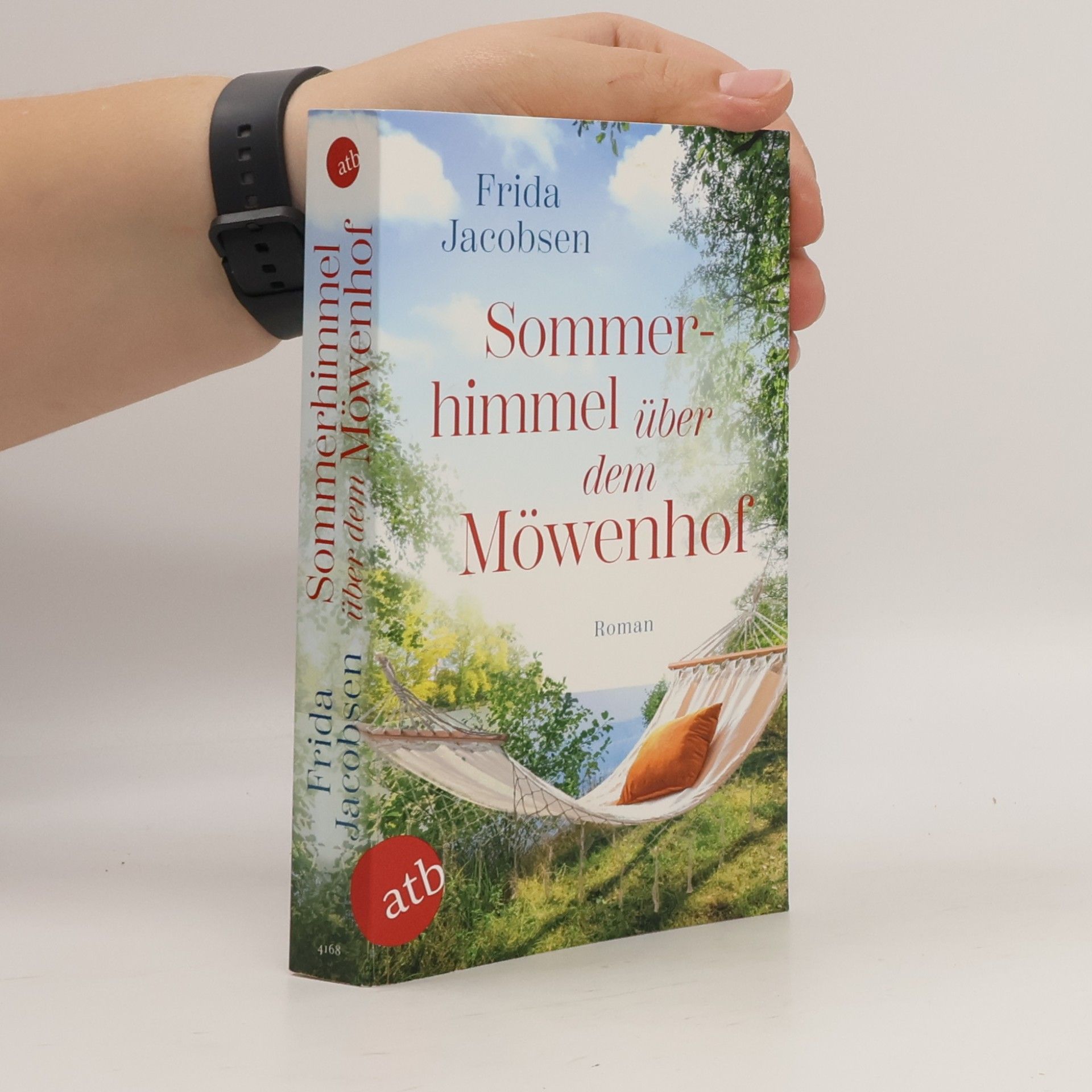 Frida Jacobsen Sommerhimmel über dem Möwenhof