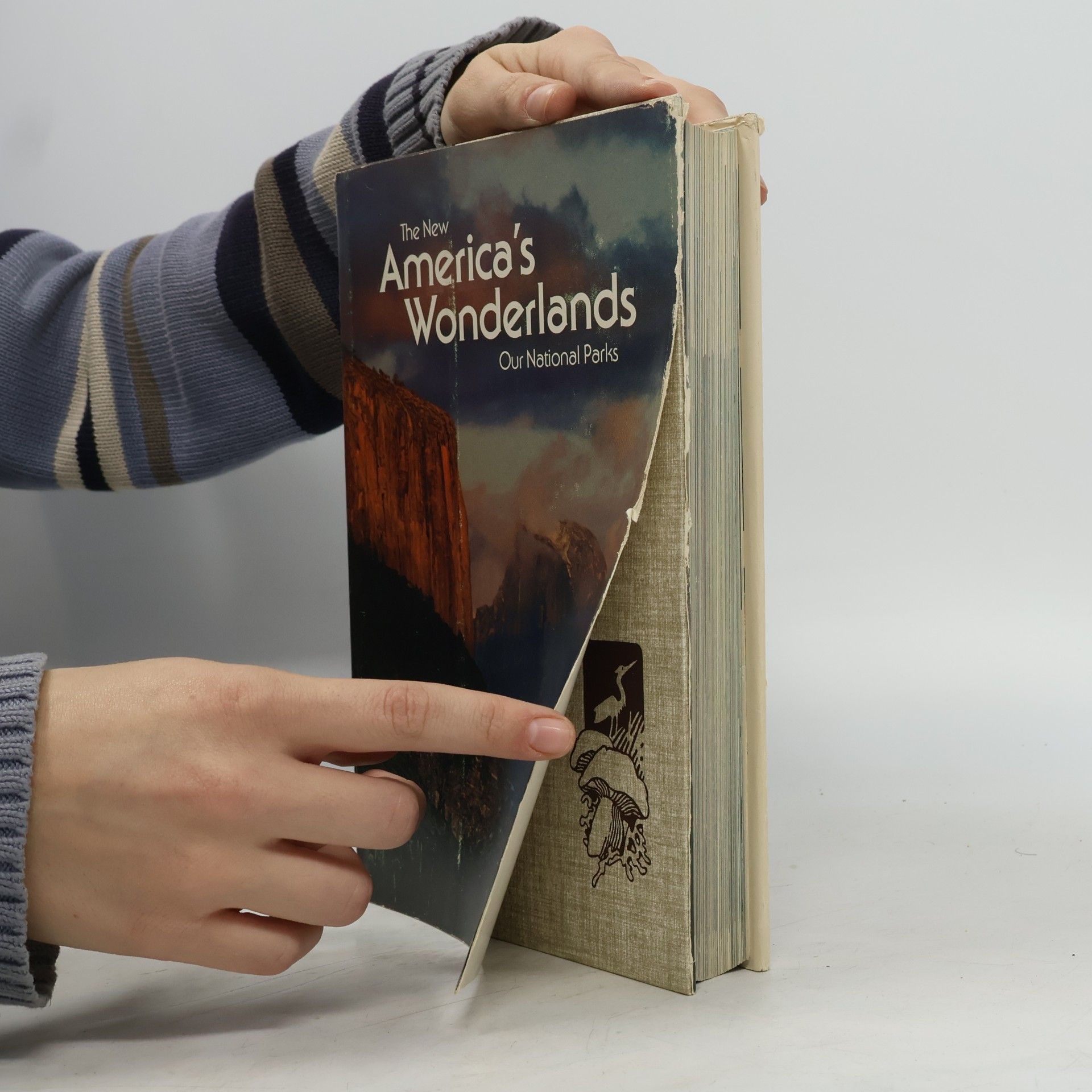 Autorenkollektiv The New America´s Wonderlands