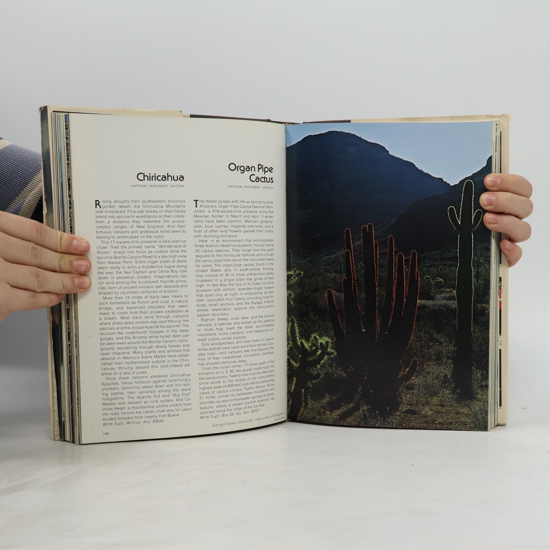 Autorenkollektiv The New America´s Wonderlands